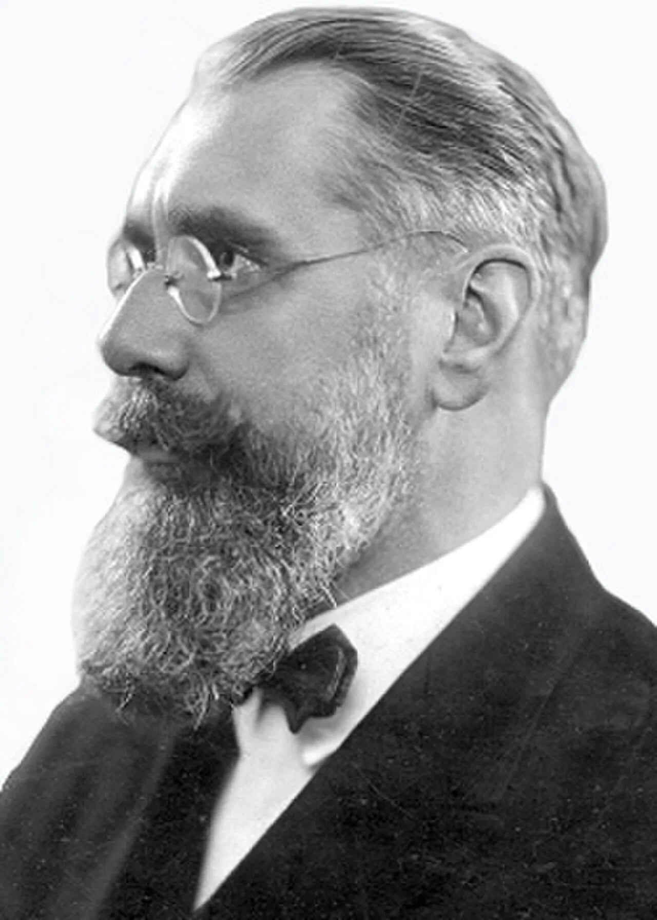 Porträt von Nikolay Ivanovich Stepanov (1879–1938) – Gedenkseite