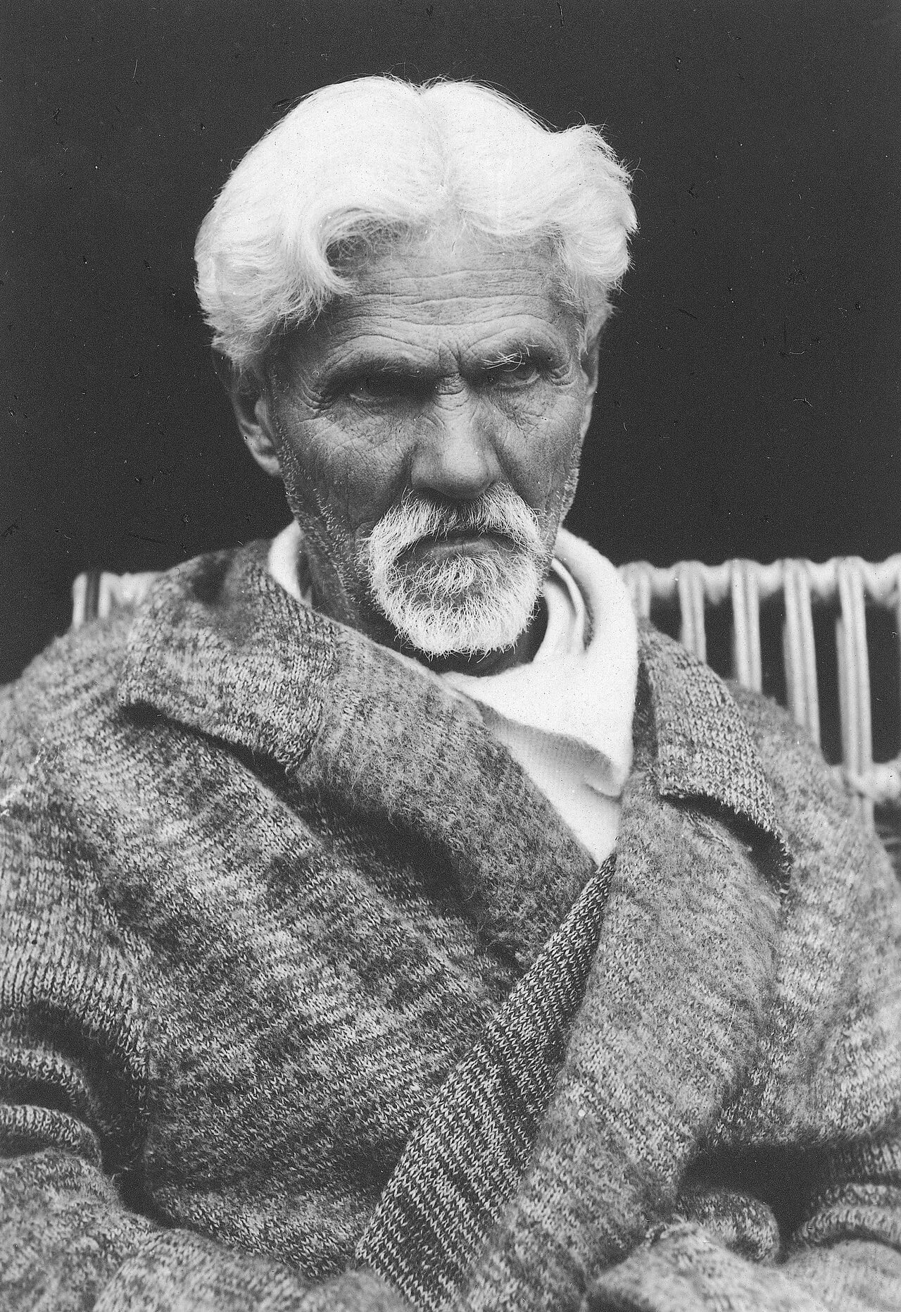 Portrait of Apolinary Tarnawski (1851–1943) – memorial page