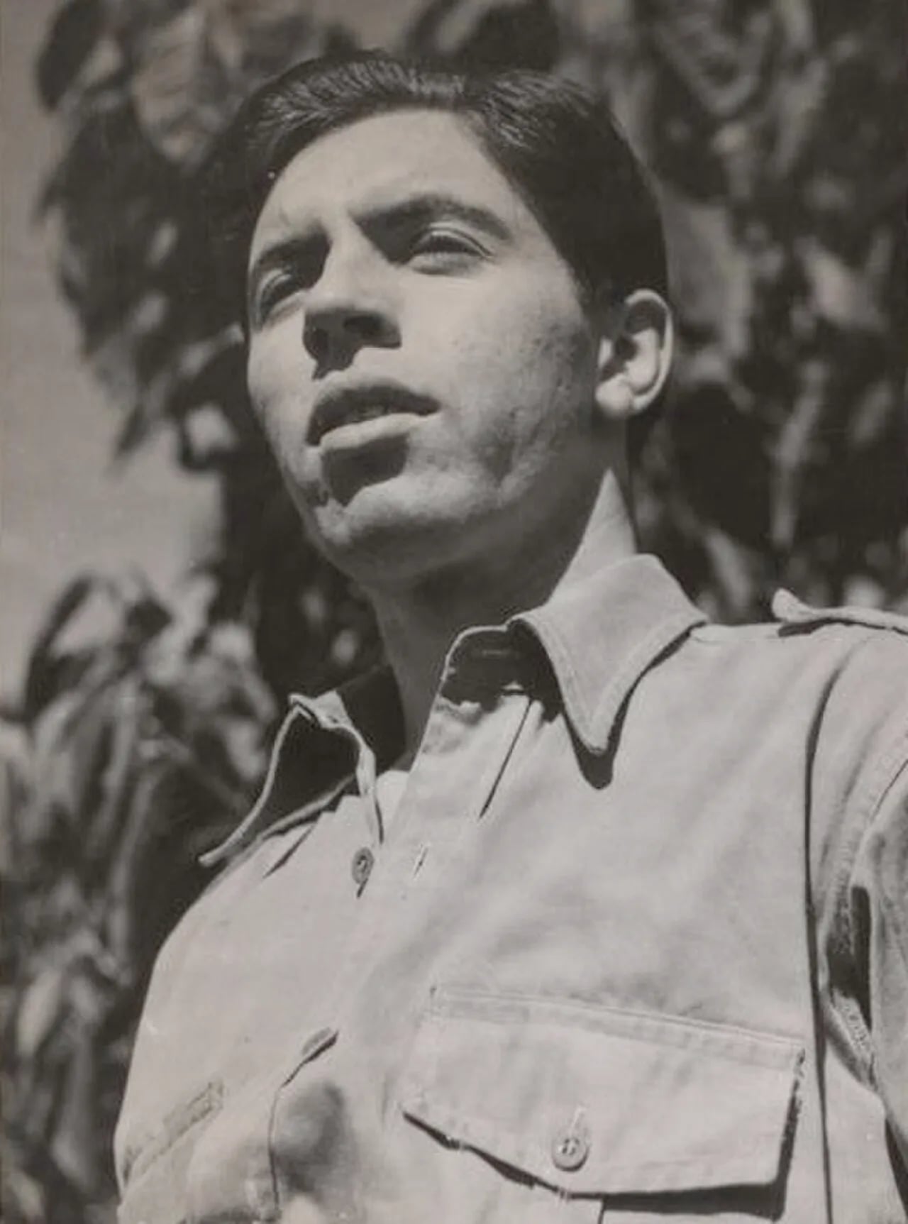 Porträt von Michael Pate (1920–2008) – Gedenkseite