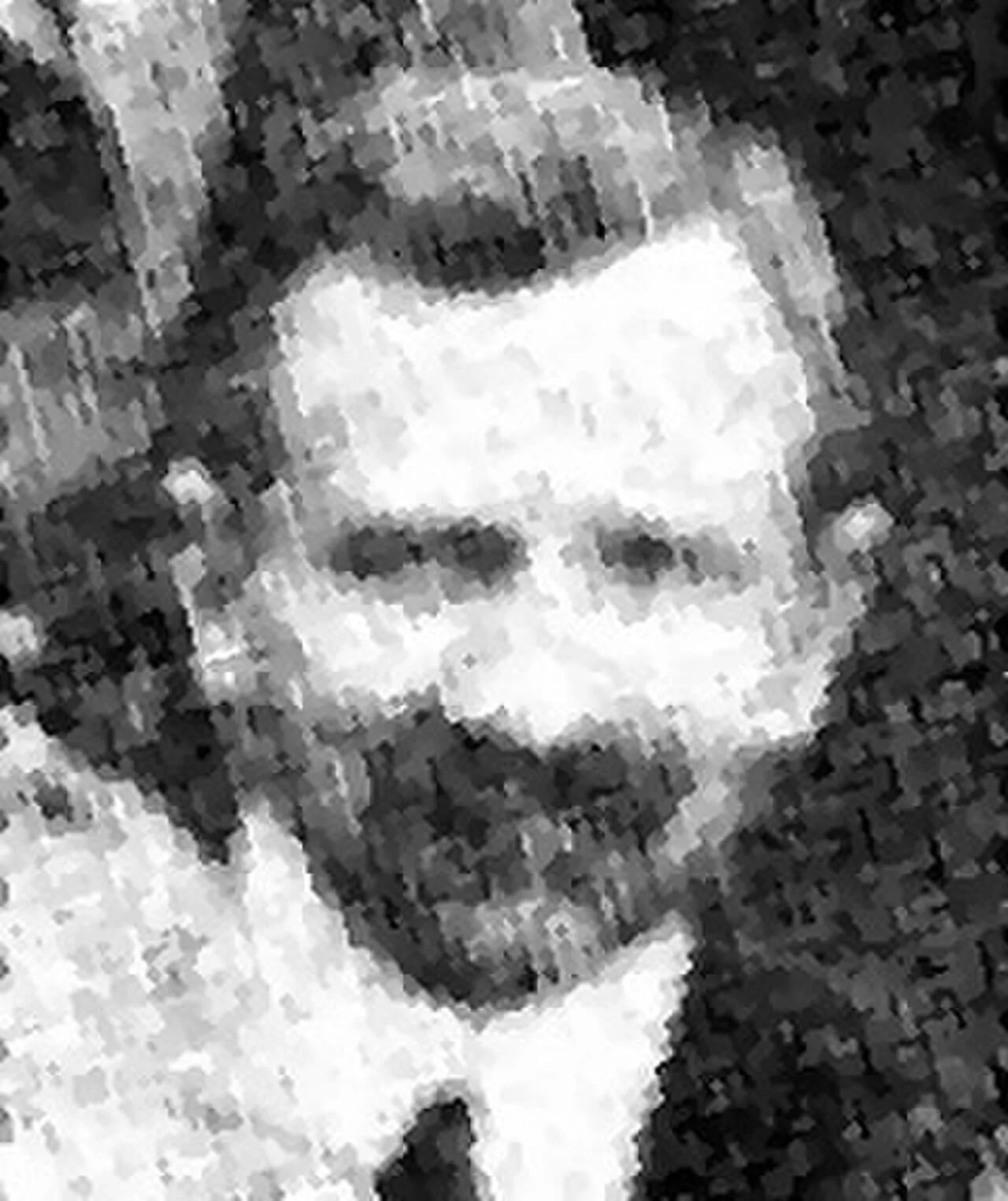 Porträt von Roman Bniński (1869–1948) – Gedenkseite