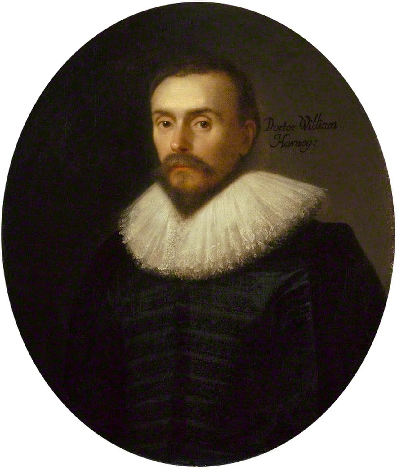 Portrait of William Harvey (1578–1657) – memorial page