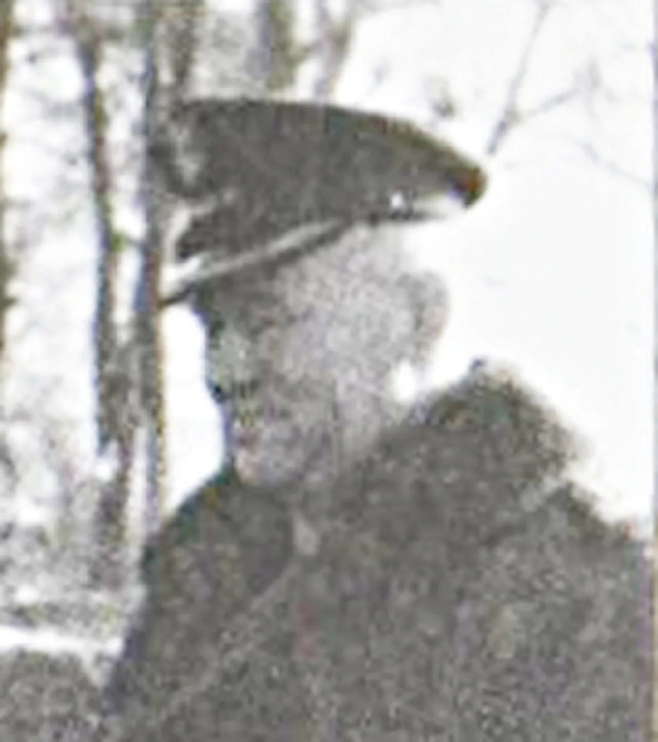 Portrait of Wojciech Piekarski (1919–1998) – memorial page
