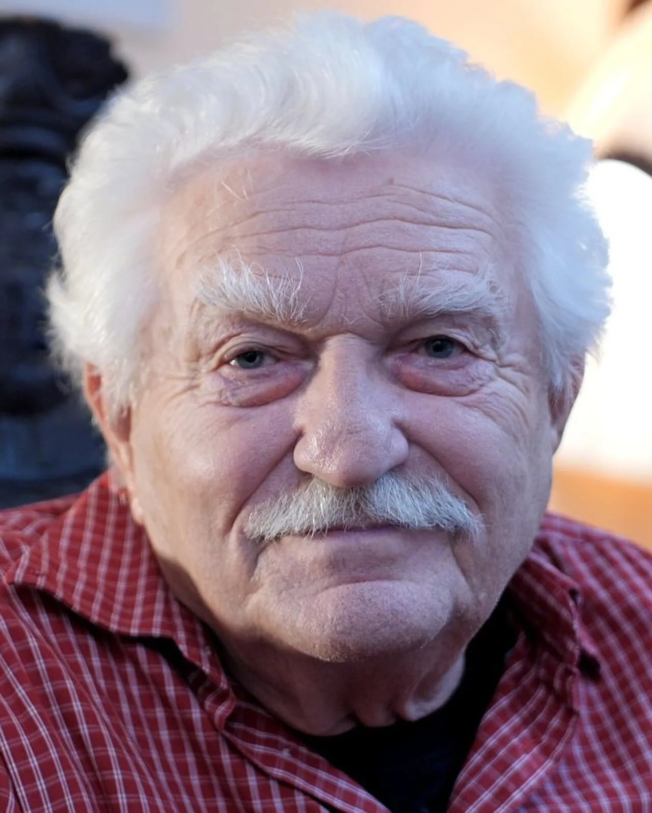 Porträt von Włodzimierz Bednarski (1935–2020) – Gedenkseite
