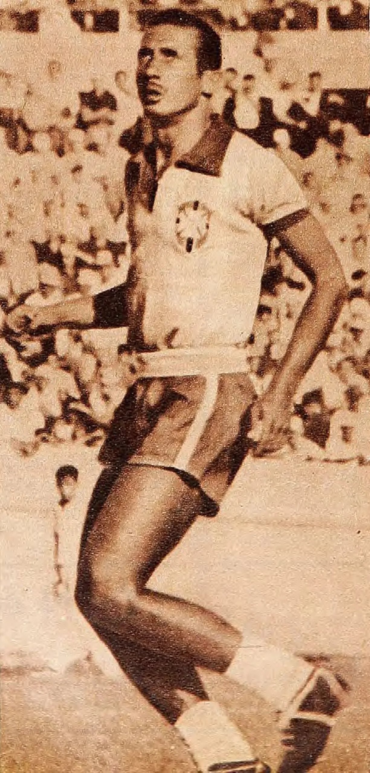 Porträt von João Carlos Batista Pinheiro (1932–2011) – Gedenkseite