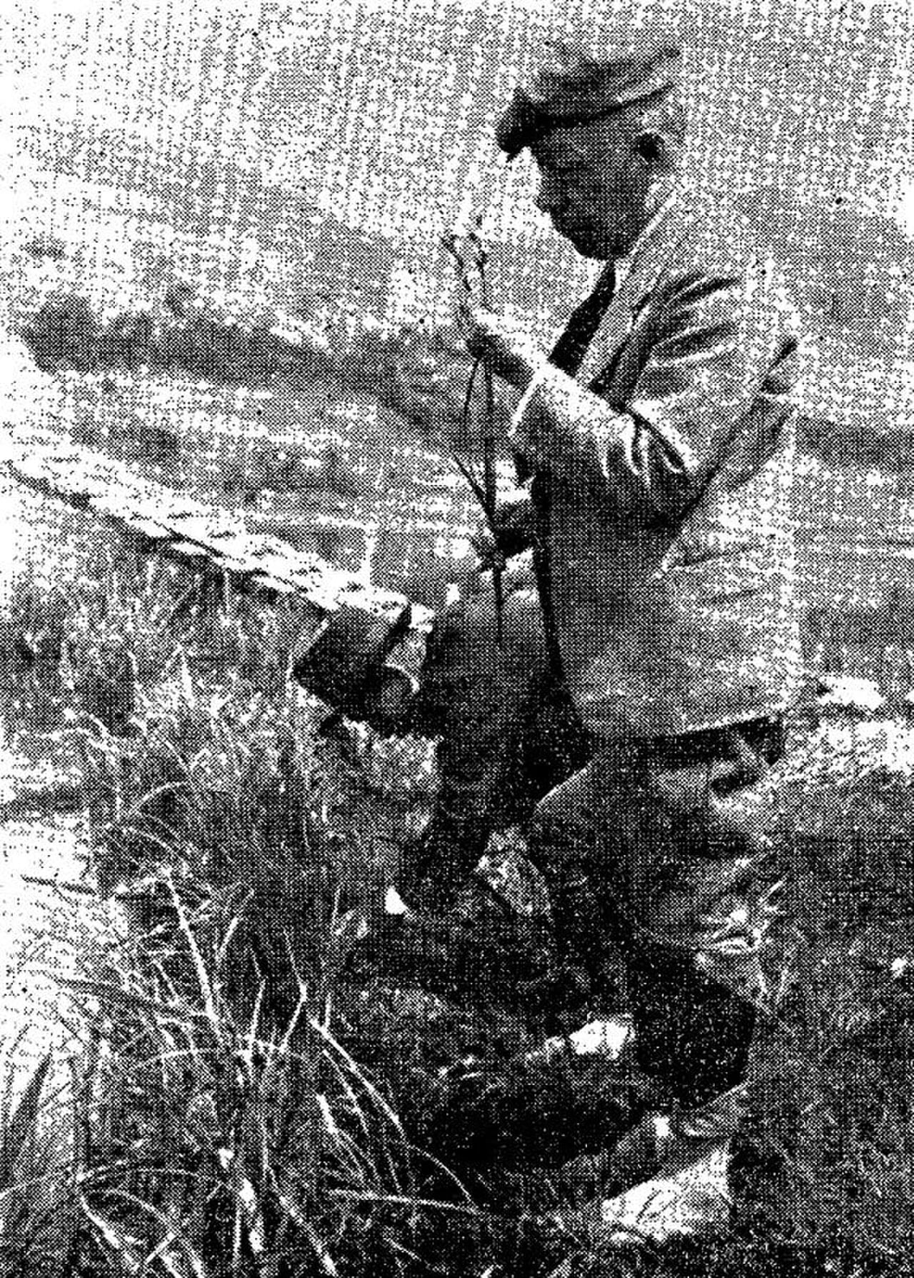 Portrait of Gen’ichi Koidzumi (1883–1953) – memorial page