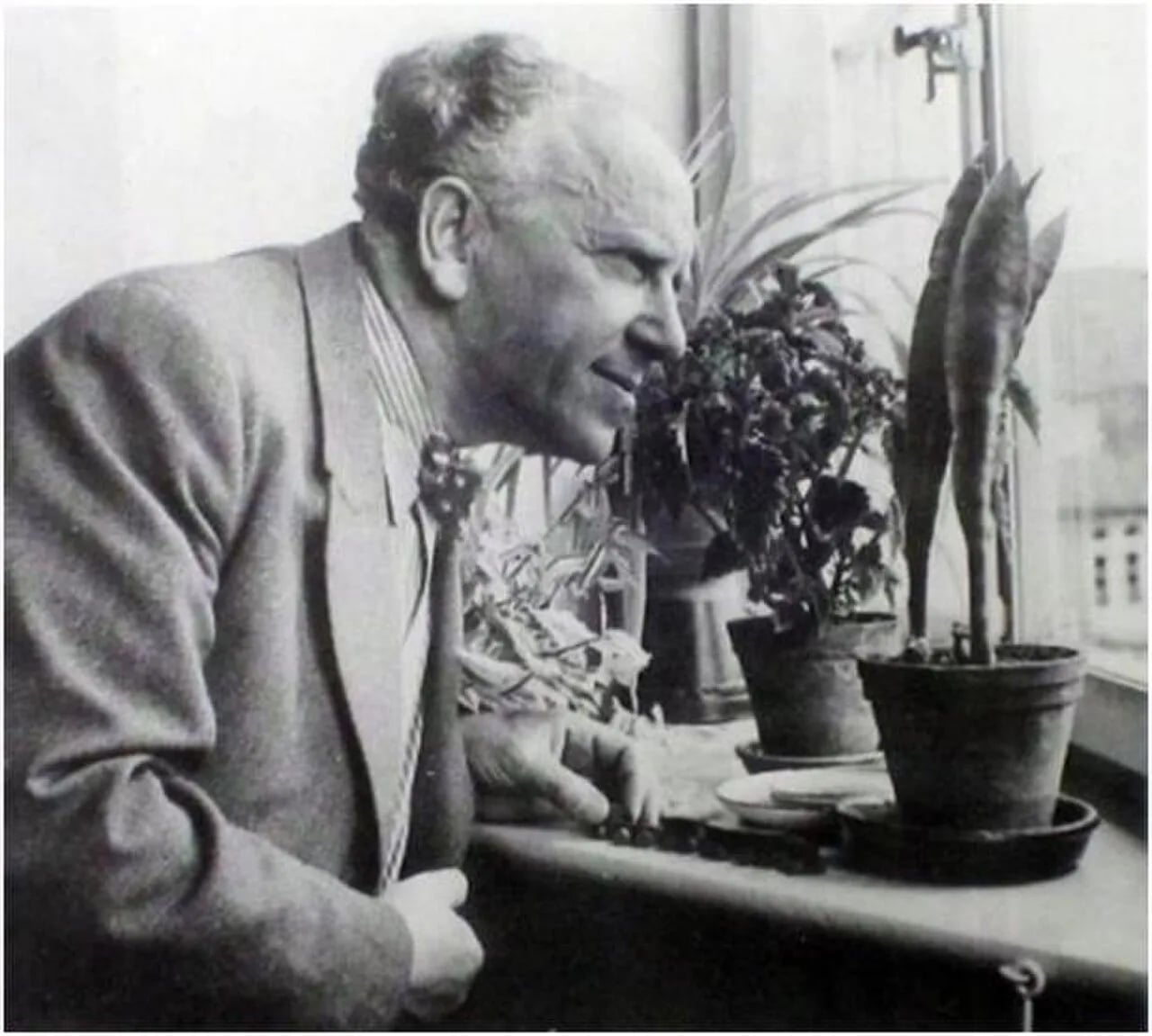 Porträt von Friedrich Adler (1878–1942) – Gedenkseite