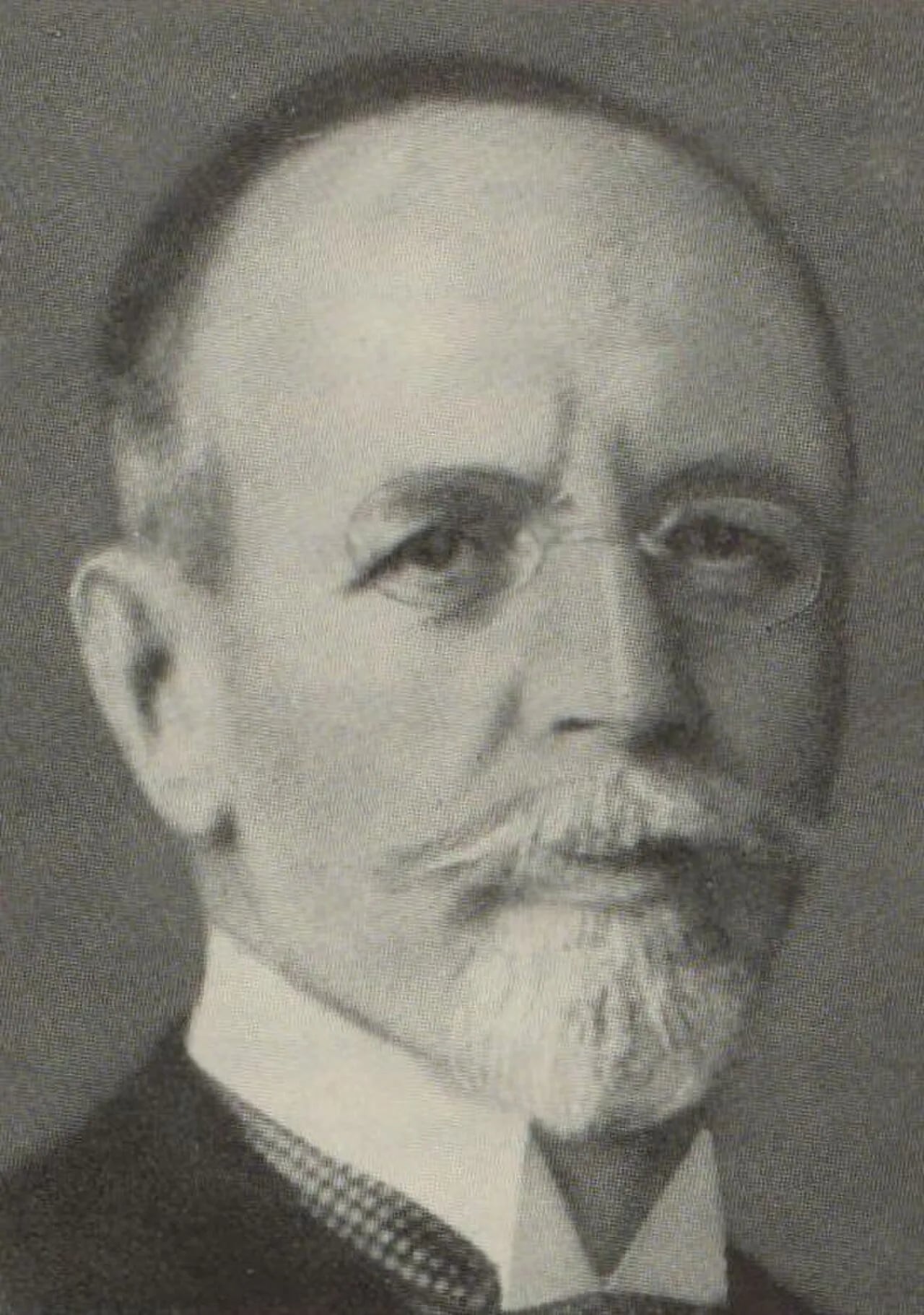 Porträt von Wilhelm Wolf (1863–1938) – Gedenkseite