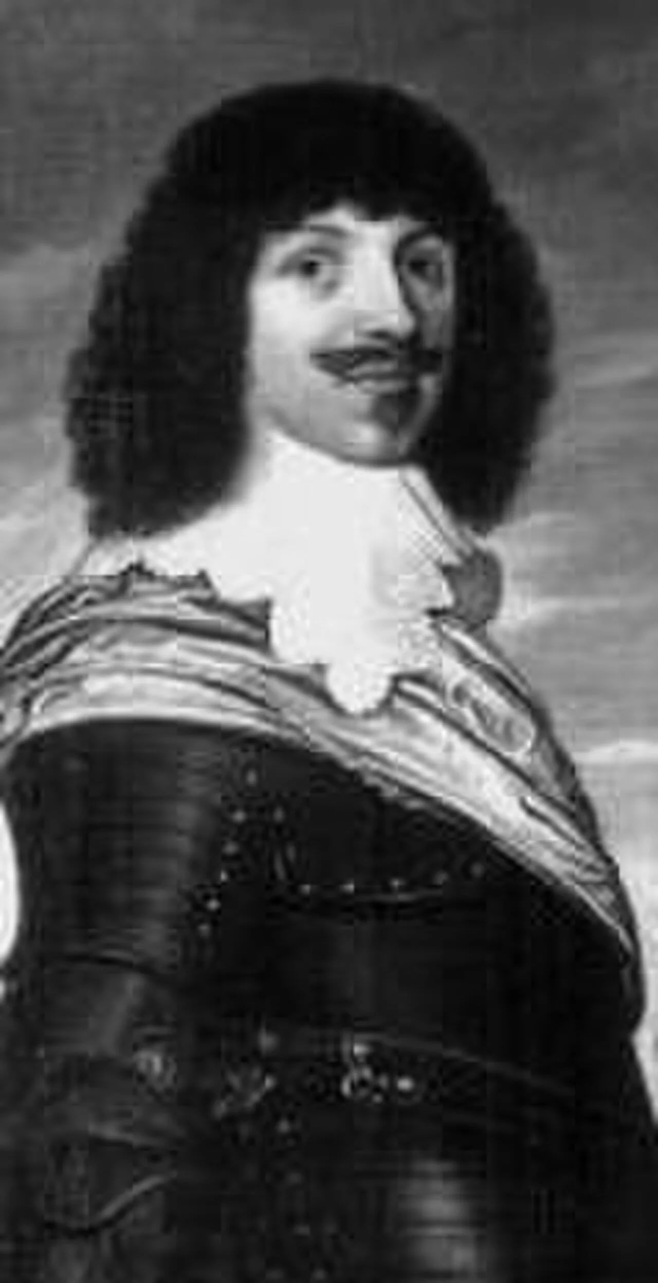 Portrait of William Otto of Nassau-Siegen (1607–1641) – memorial page