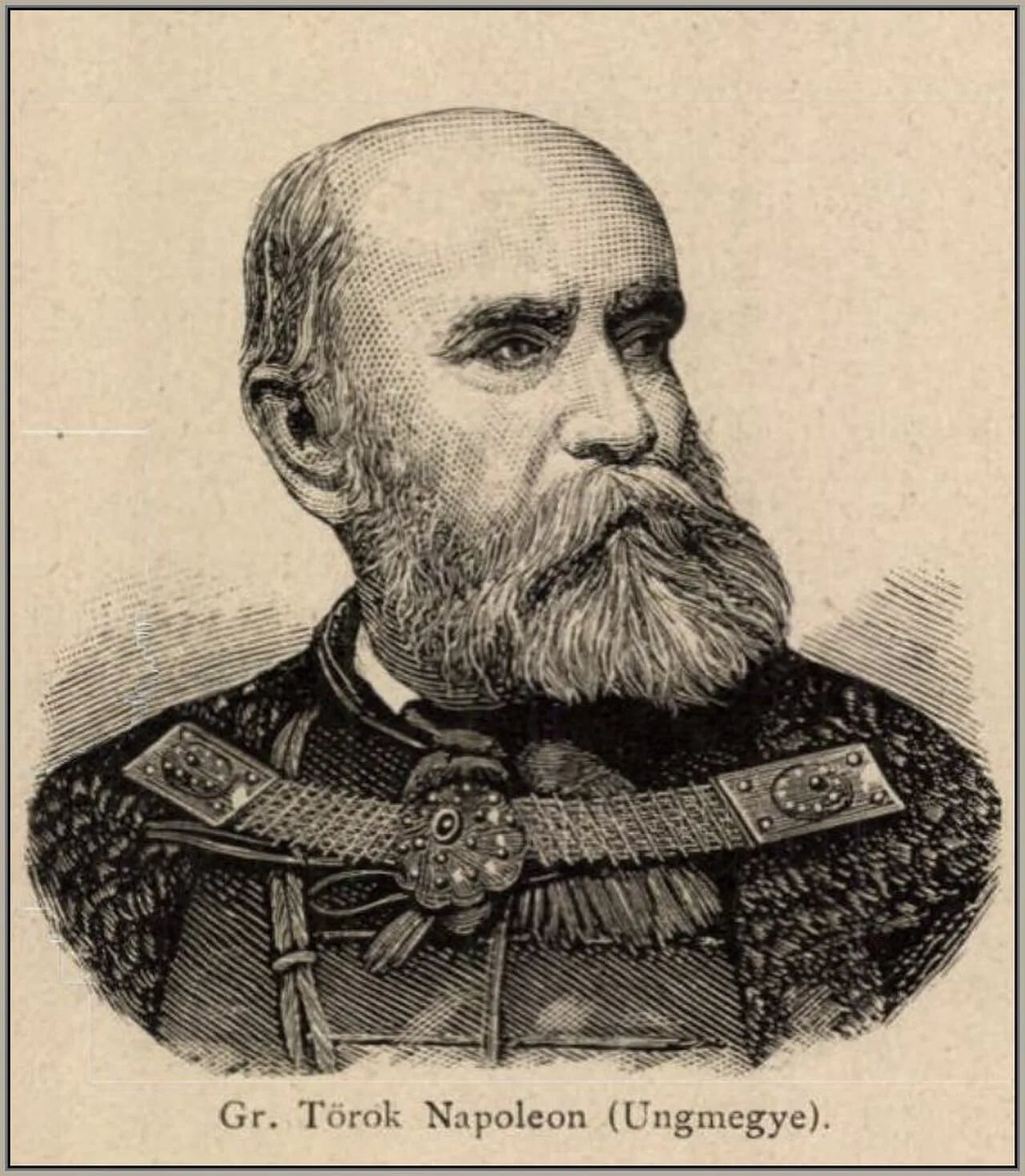 Portrait of Napoleon Török (1810–1898) – memorial page