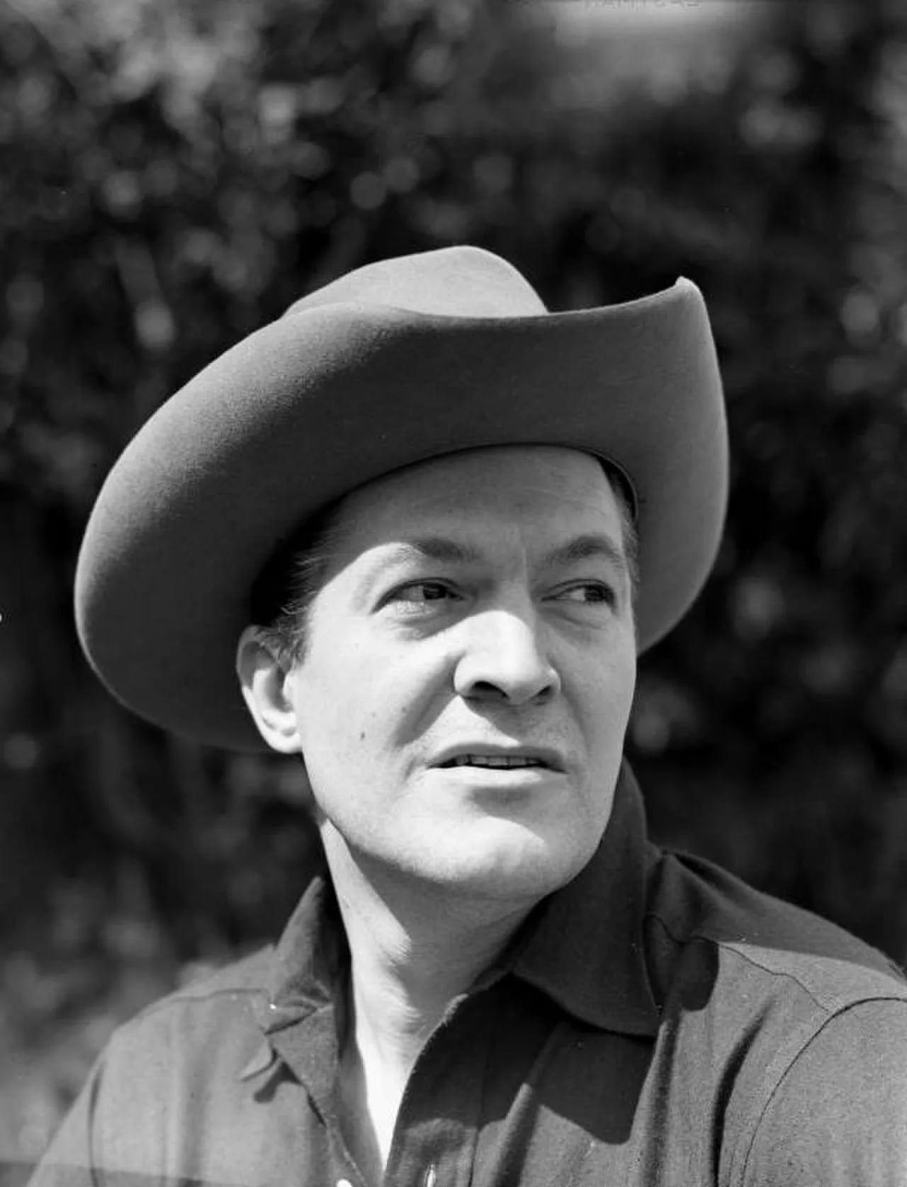 Porträt von Peter Arno (1904–1968) – Gedenkseite