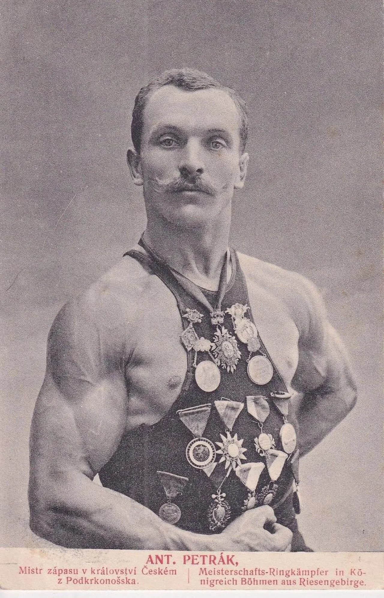 Porträt von Antonín Petrák (1873–1949) – Gedenkseite