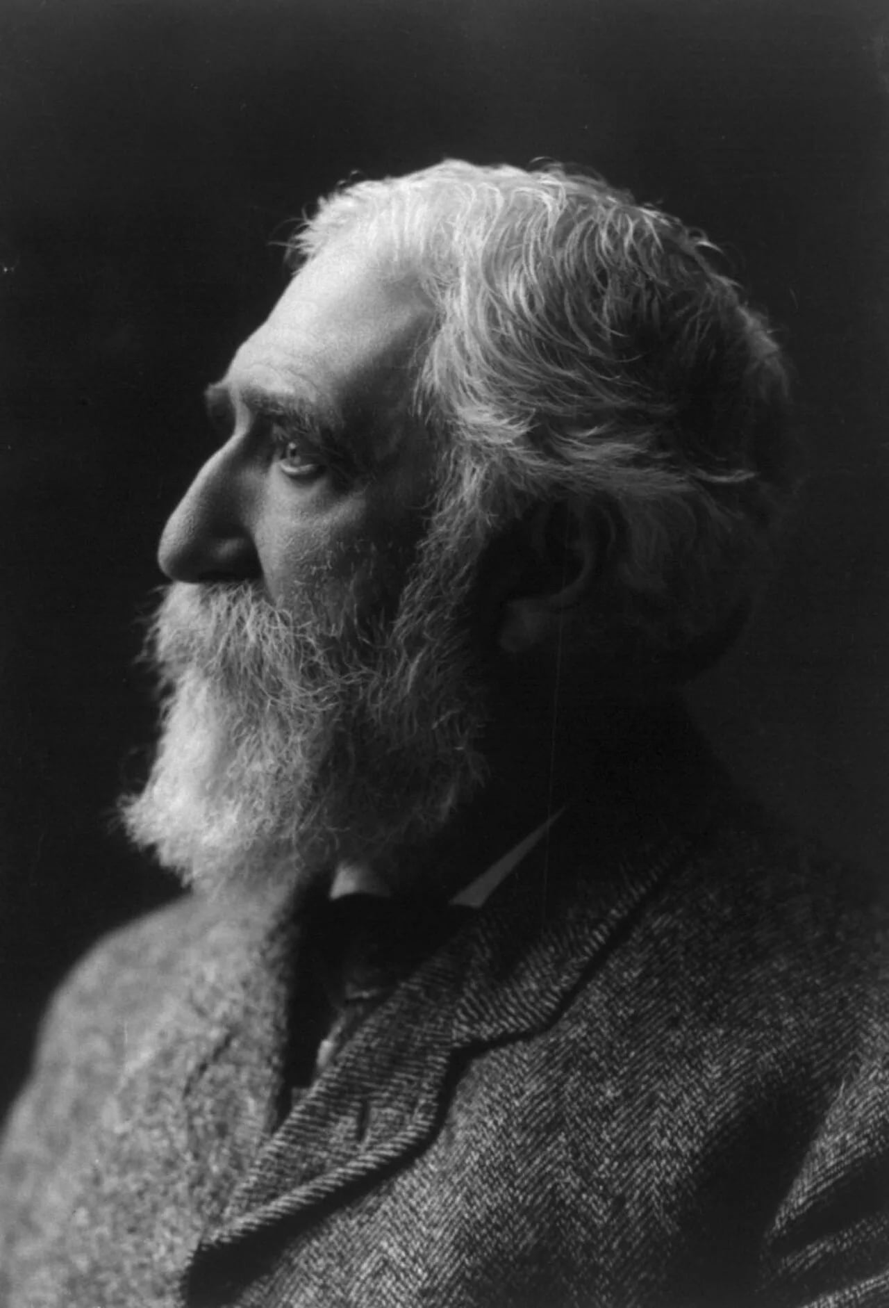 Porträt von Charles Dudley Warner (1829–1900) – Gedenkseite