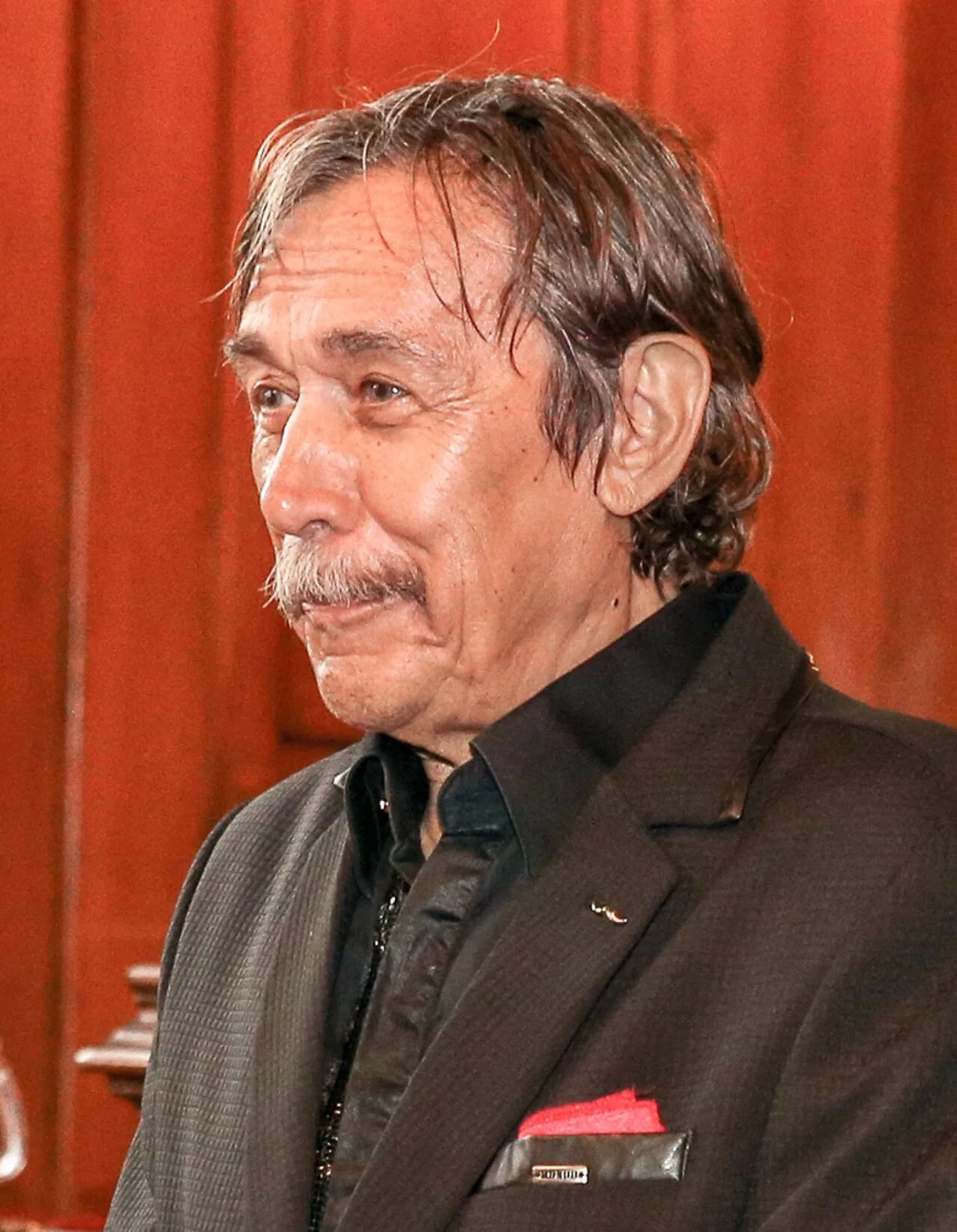 Porträt von Ladislav Dušek (1943–2020) – Gedenkseite
