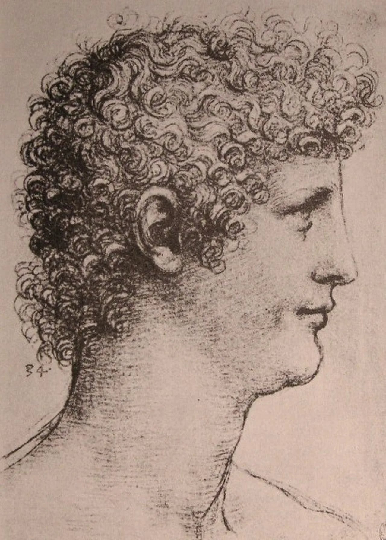 Portrait of Salaj (1480–1524) – memorial page