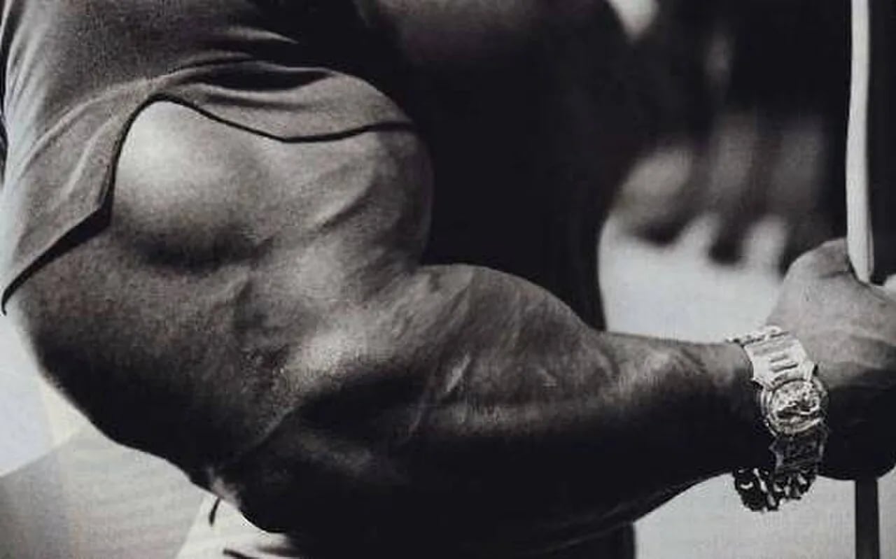 Portrait of Sergio Oliva (1941–2012) – memorial page