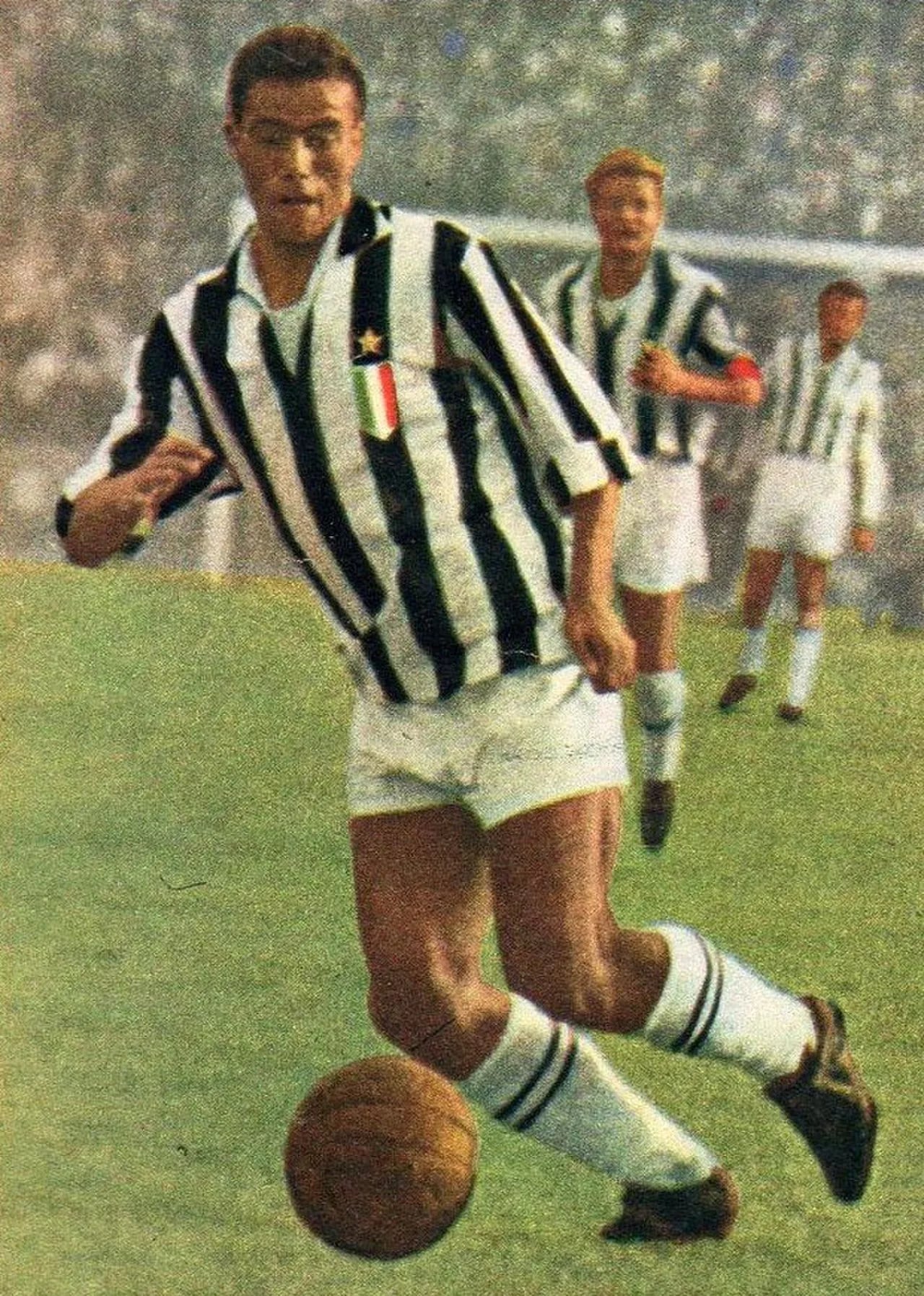 Porträt von Bruno Nicolè (1940–2019) – Gedenkseite