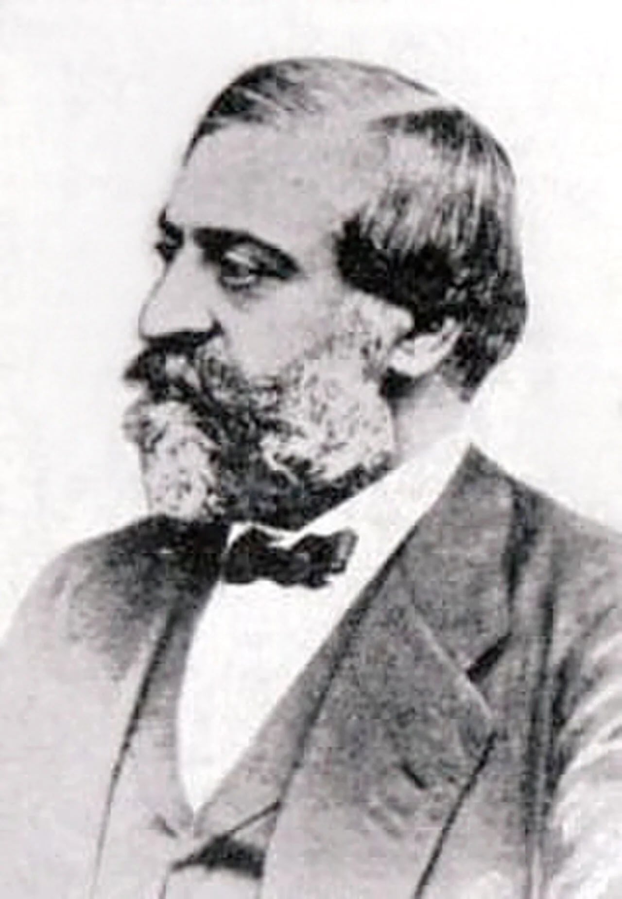 Portrait of Manolache Costache Epureanu (1823–1880) – memorial page