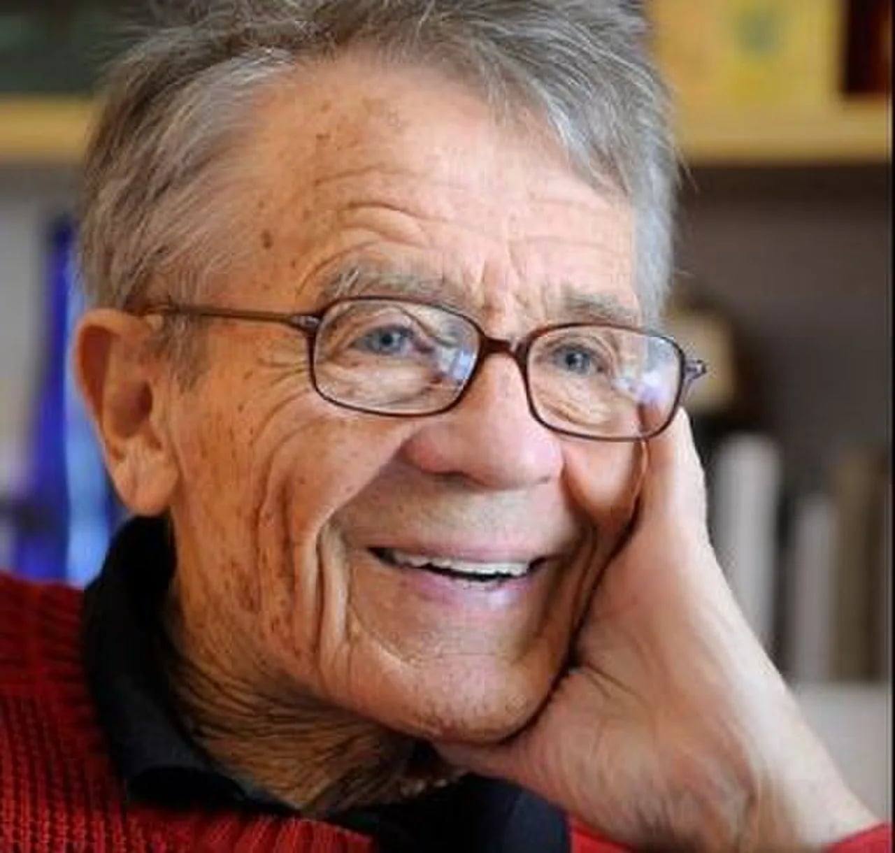Portrait of Elemér Hankiss (1928–2015) – memorial page