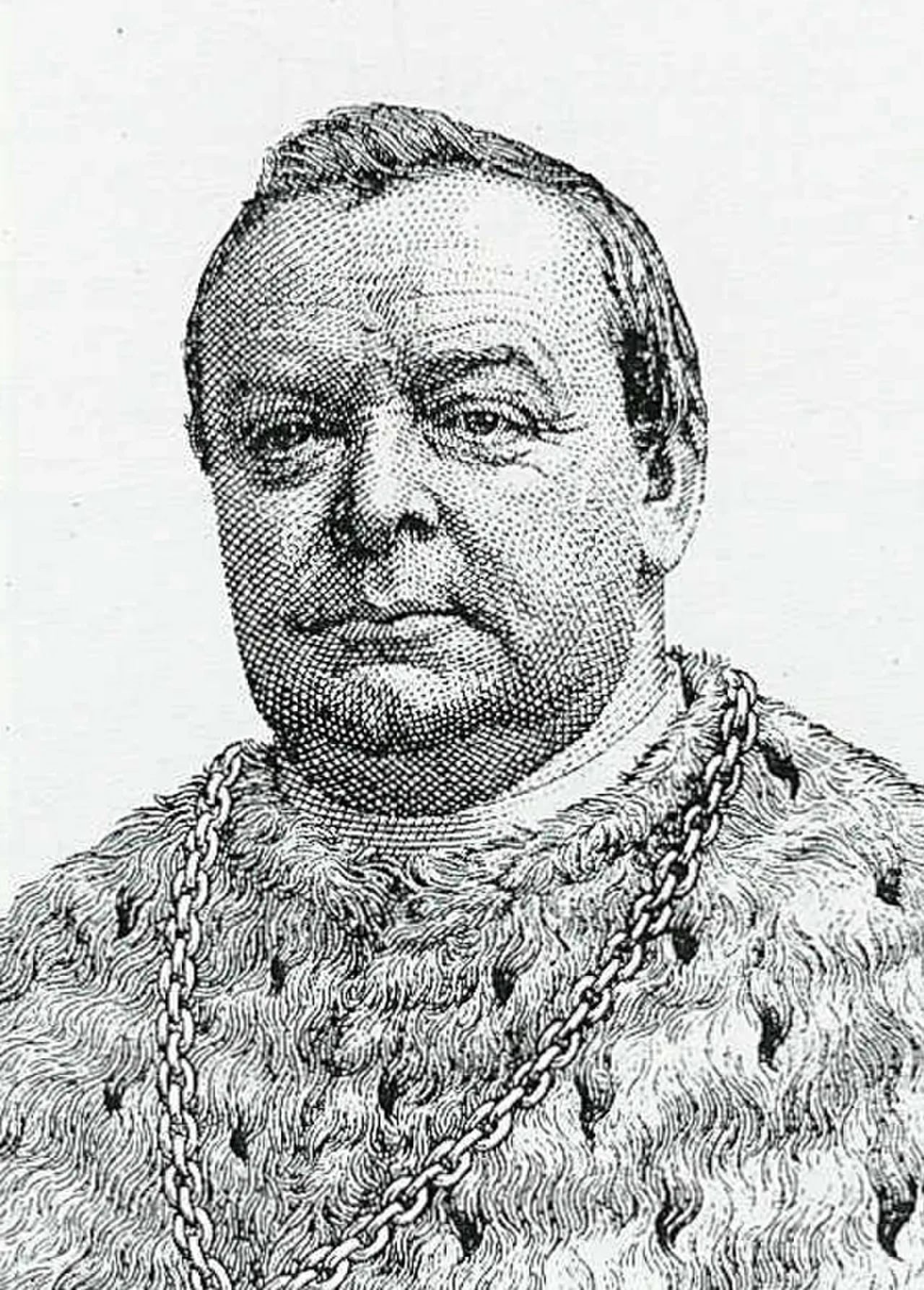 Porträt von Pierre de Brabandere (1828–1895) – Gedenkseite