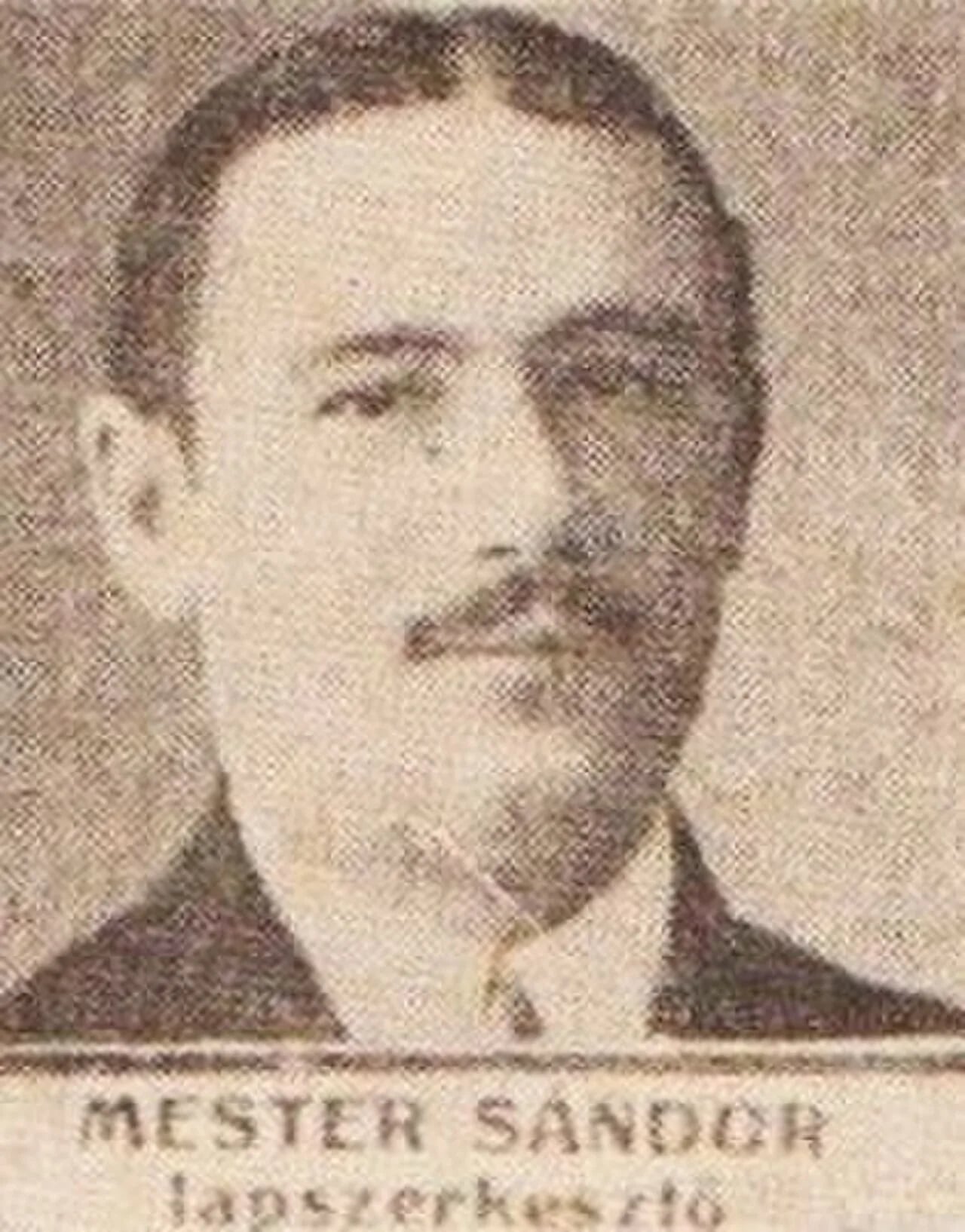 Portrait of Sándor Mester (1874–1958) – memorial page