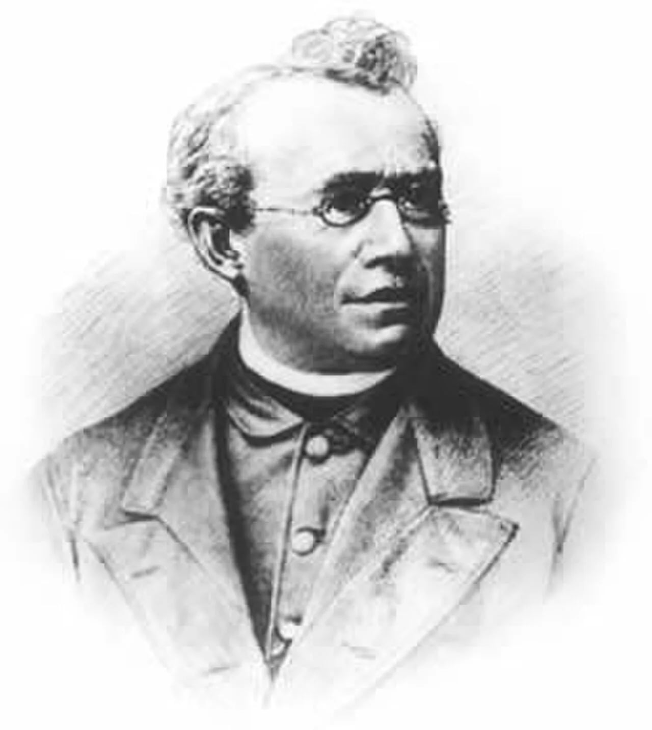 Porträt von Franz Xaver Witt (1834–1888) – Gedenkseite