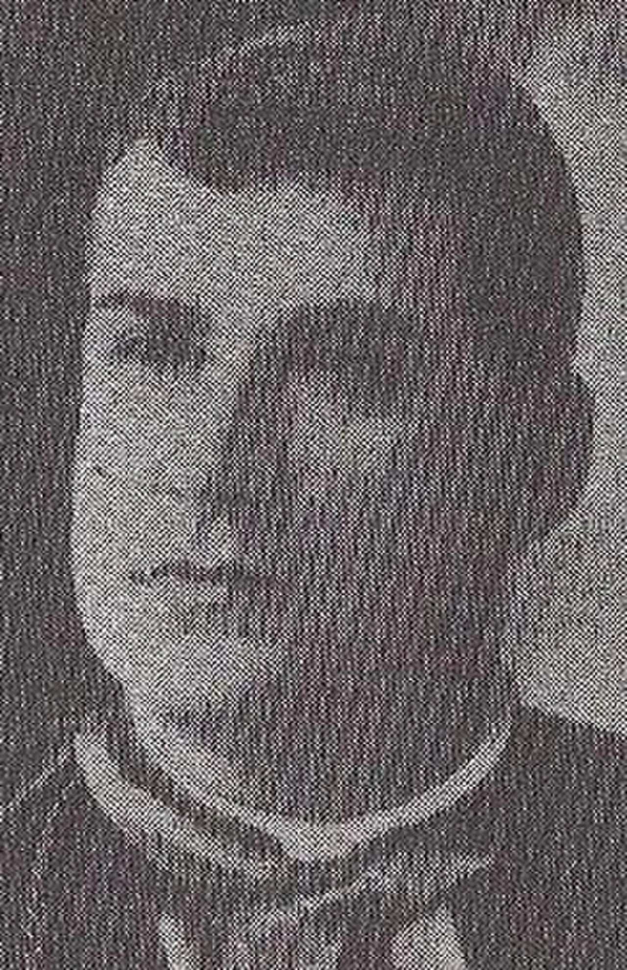Porträt von Alberto José Gonçalves (1859–1945) – Gedenkseite
