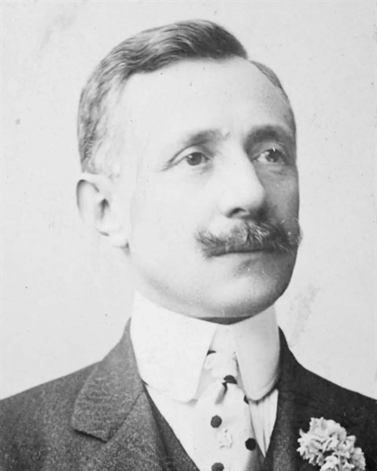 Portrait of Alfredo Vieira Pinto de Vilas-Boas (1860–1926) – memorial page