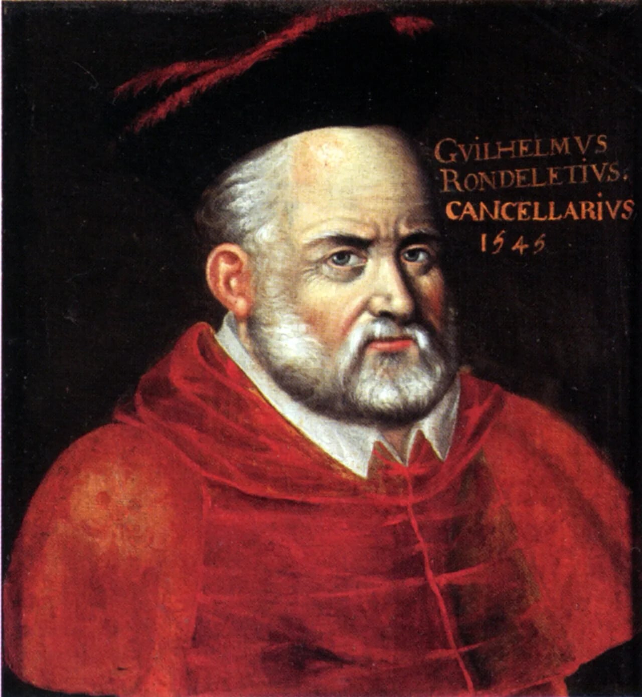 Porträt von Guillaume Rondelet (1507–1566) – Gedenkseite