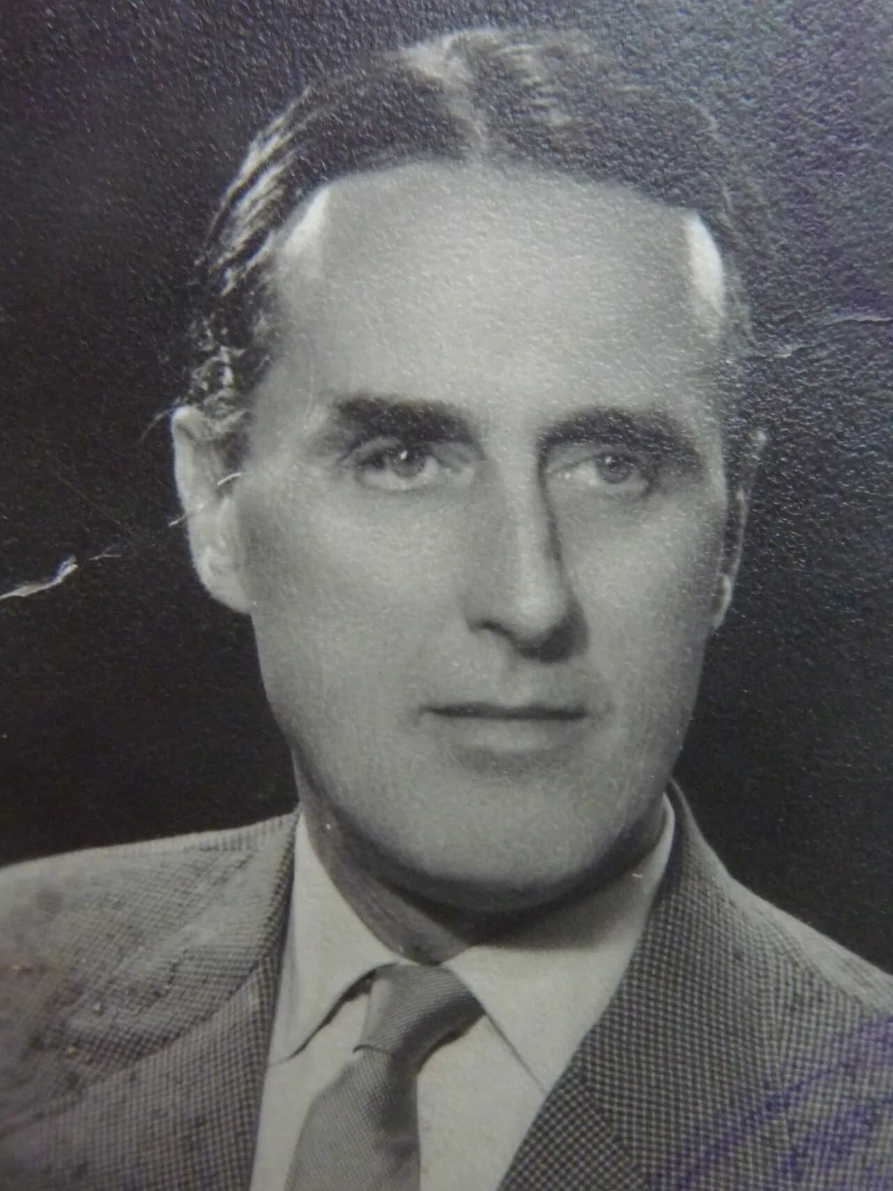 Portrait of Metod Pogačnik (1906–1971) – memorial page