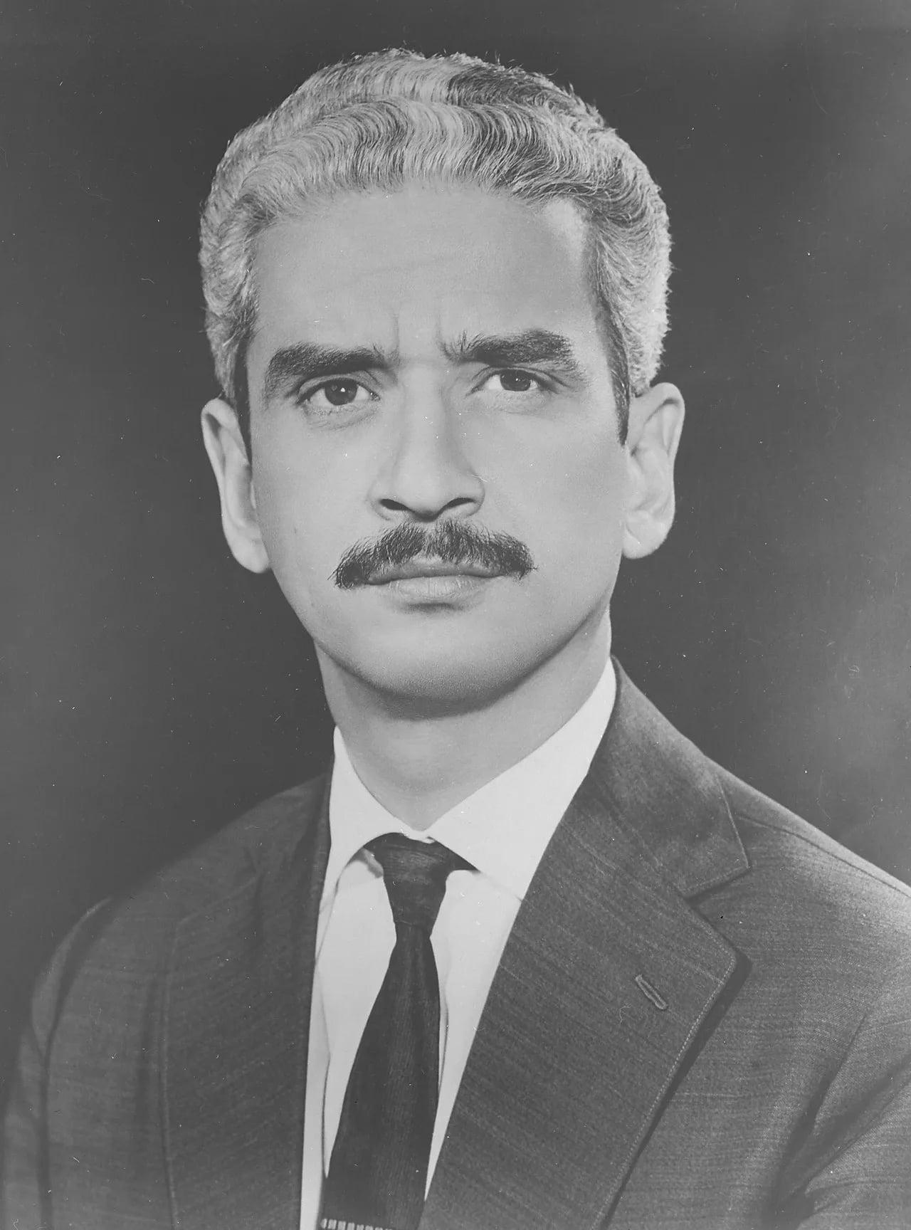 Porträt von Amaury de Oliveira e Silva (1924–2002) – Gedenkseite