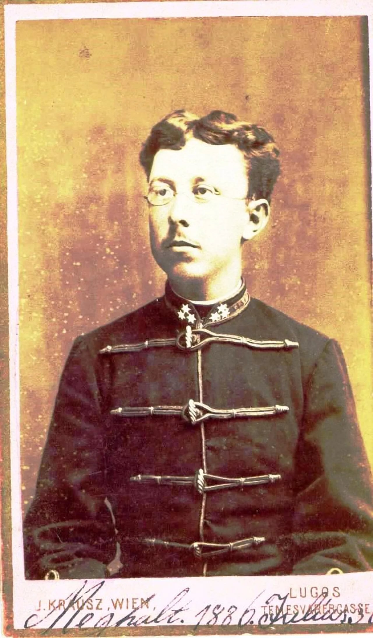 Porträt von László Sipos (1860–1886) – Gedenkseite