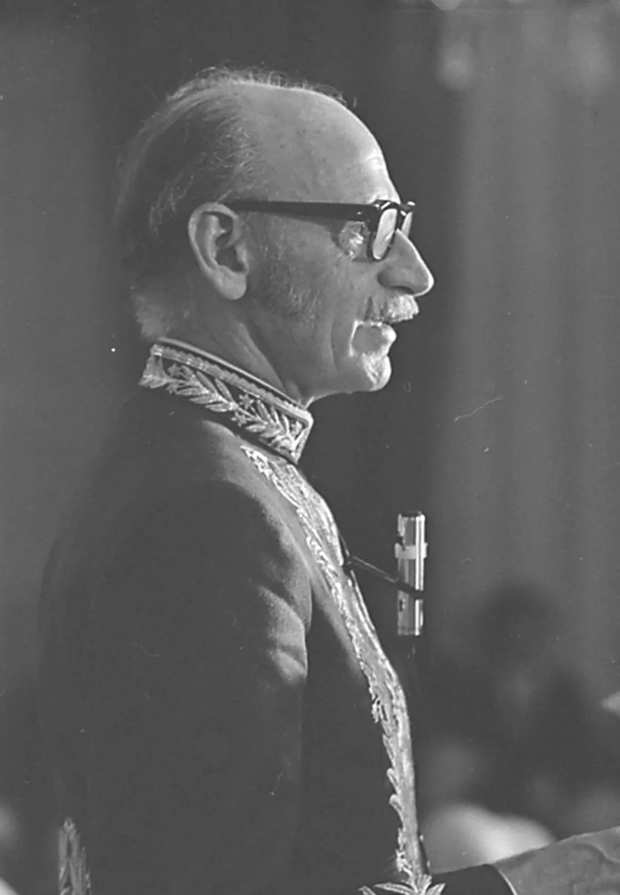 Porträt von Bernardo Élis (1915–1997) – Gedenkseite