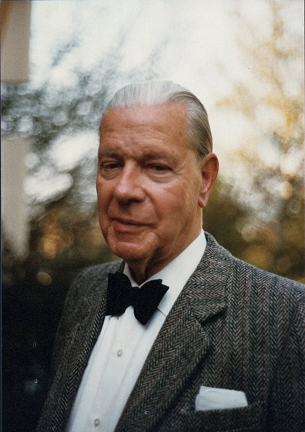 Porträt von Max J. O. Strutt (1903–1992) – Gedenkseite