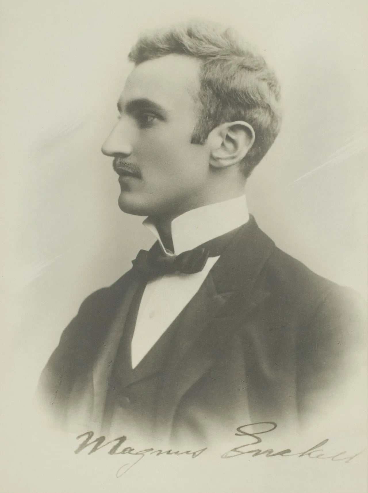 Portrait of Magnus Enckell (1870–1925) – memorial page