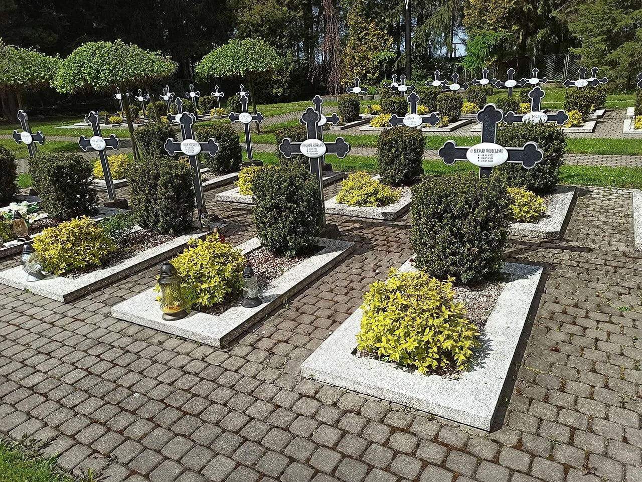 Portrait of Bernard Wodecki (1922–2008) – memorial page