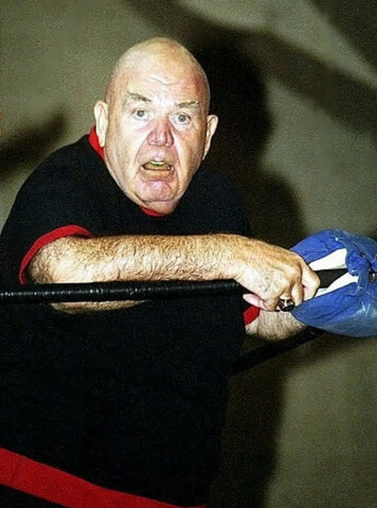 Porträt von George Steele (1937–2017) – Gedenkseite