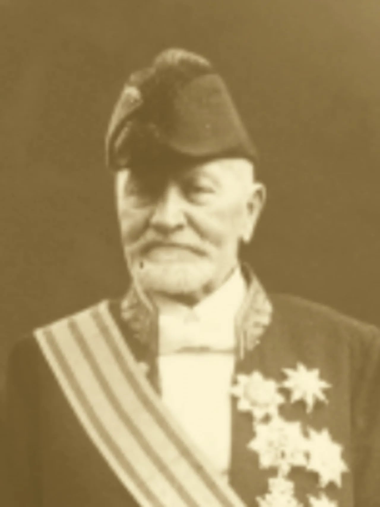 Portrait of Victor Thorn (1844–1930) – memorial page