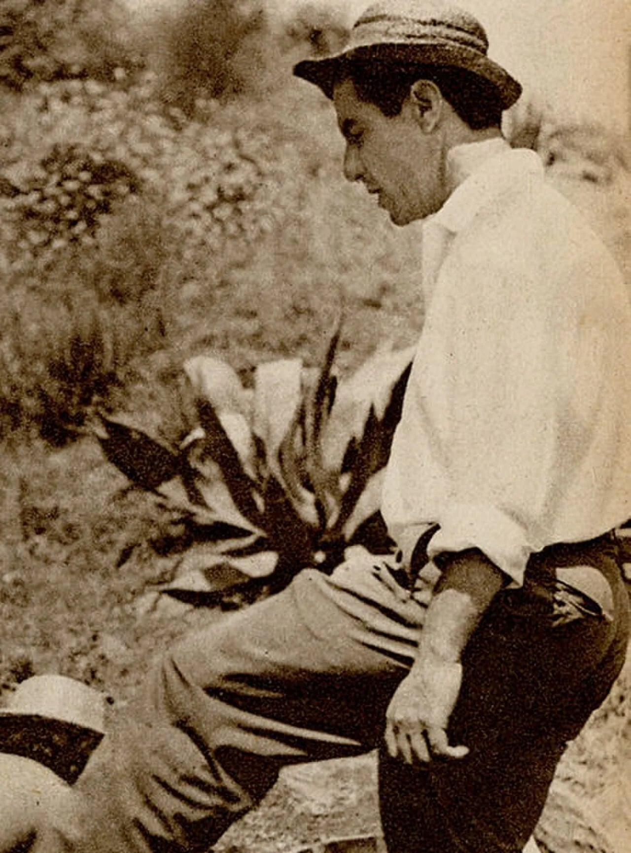 Porträt von Renato Castellani (1913–1985) – Gedenkseite