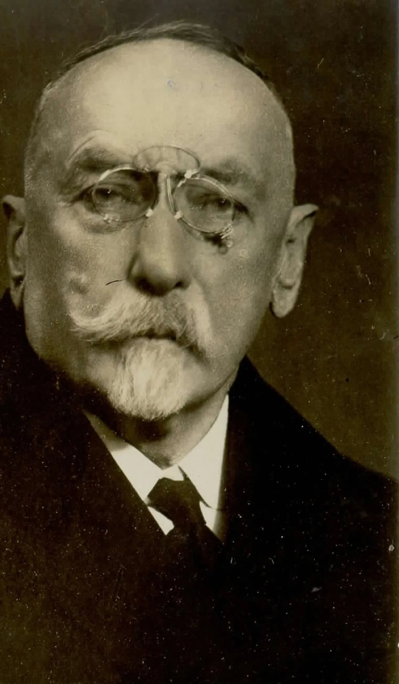Portrait of Ivan Hribar (1851–1941) – memorial page