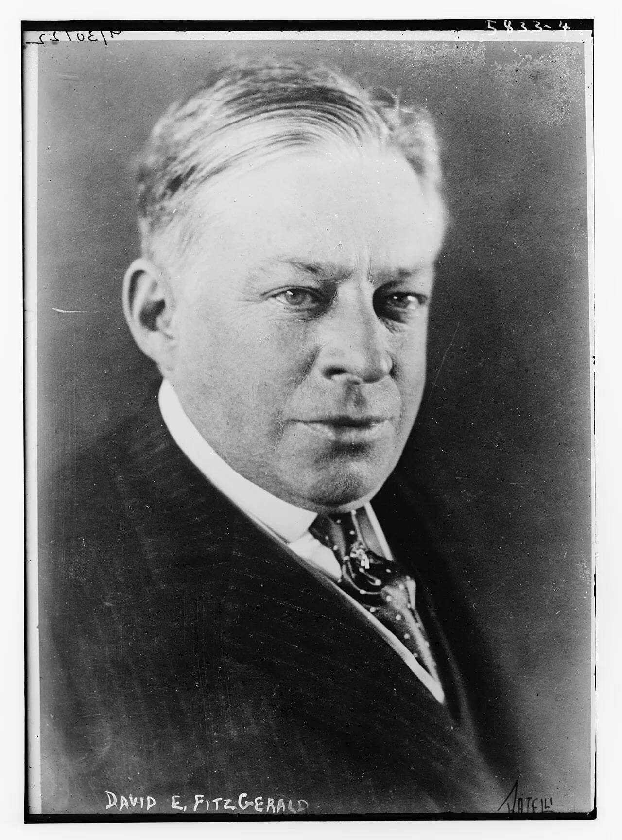 Portrait of David Edward Fitzgerald (1874–1942) – memorial page