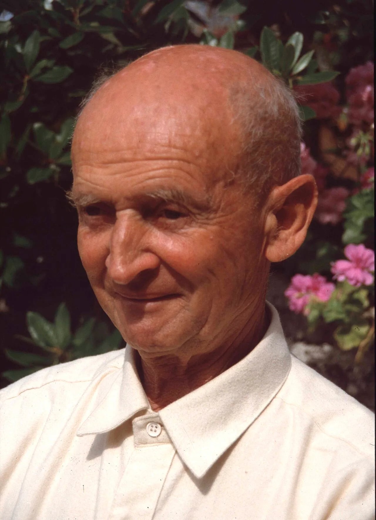 Portrait of Willy Cullmann (1905–1992) – memorial page