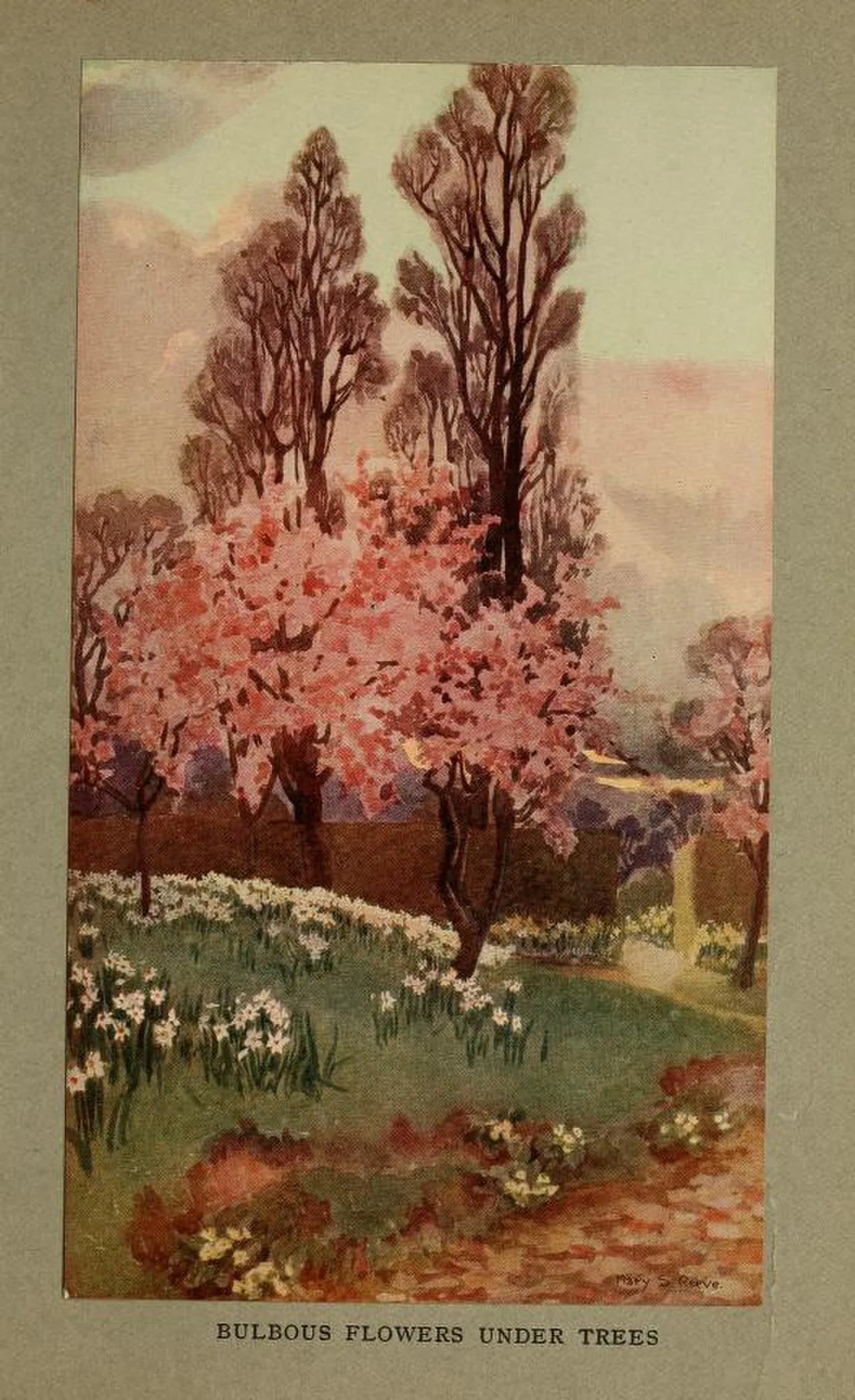 Porträt von Mary Strange Reeve (1891–1974) – Gedenkseite