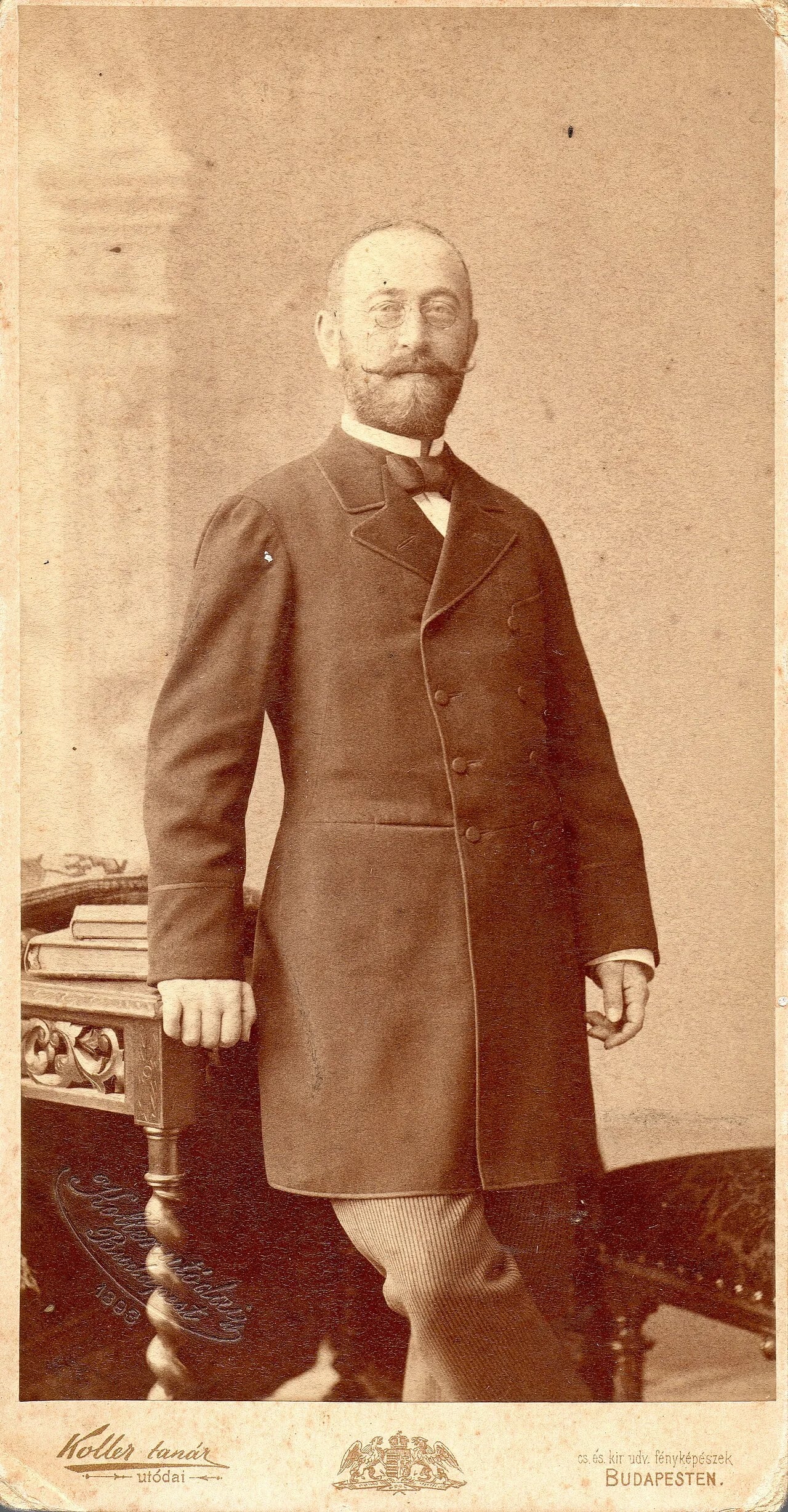 Porträt von Gyula Erőss (1855–1925) – Gedenkseite