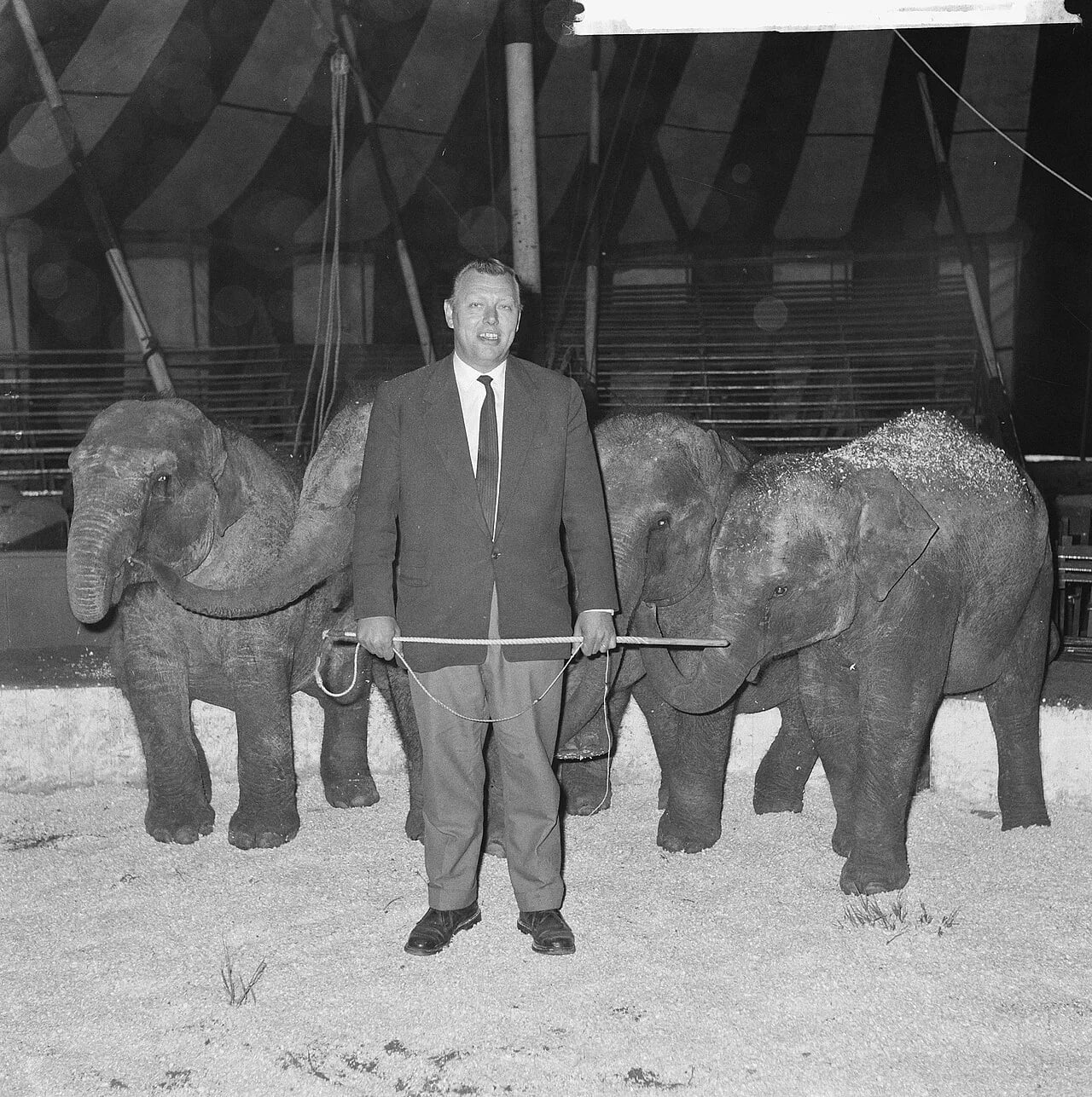 Porträt von Thom Kelling (1922–1968) – Gedenkseite