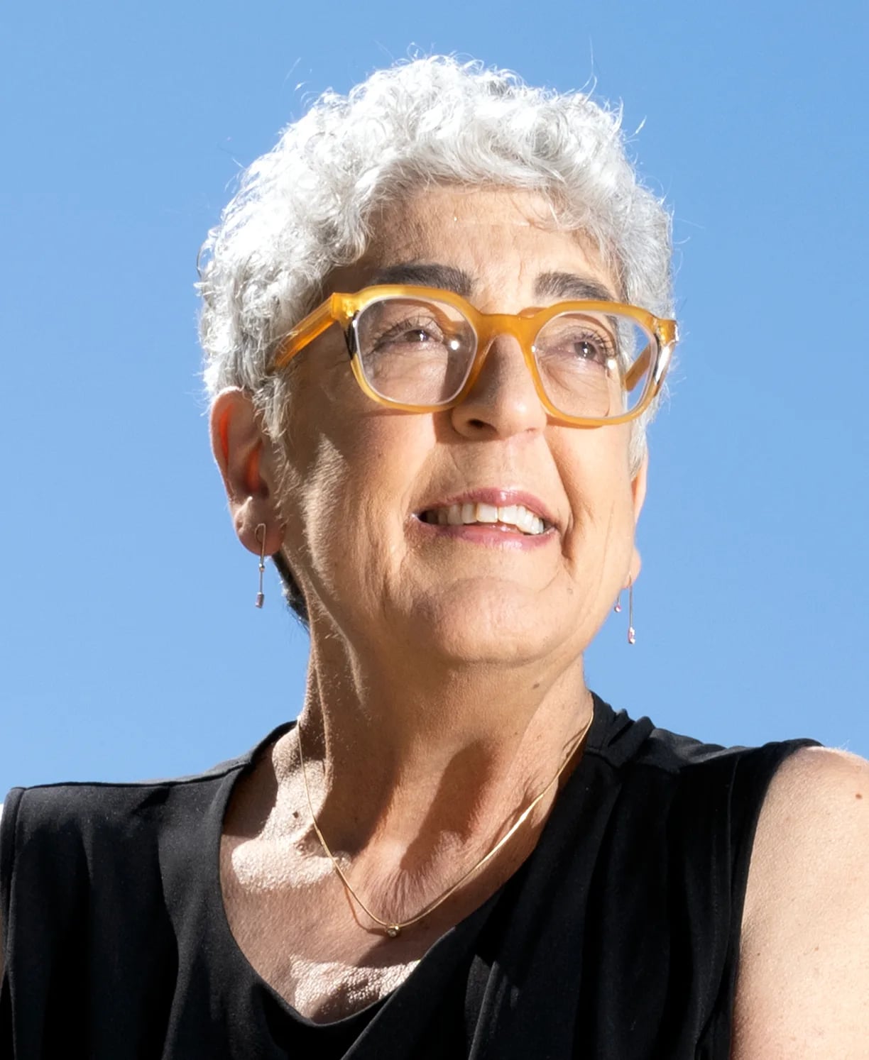 Portrait of Joanne Chory (1955–2024) – memorial page