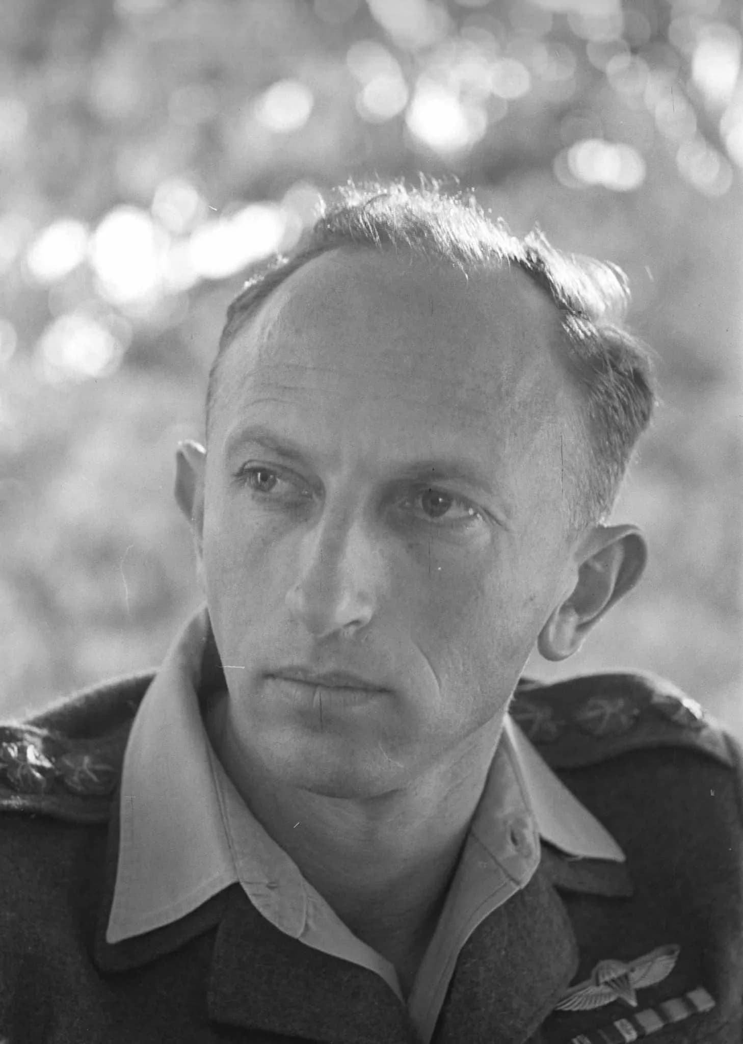 Tzwi Zamir