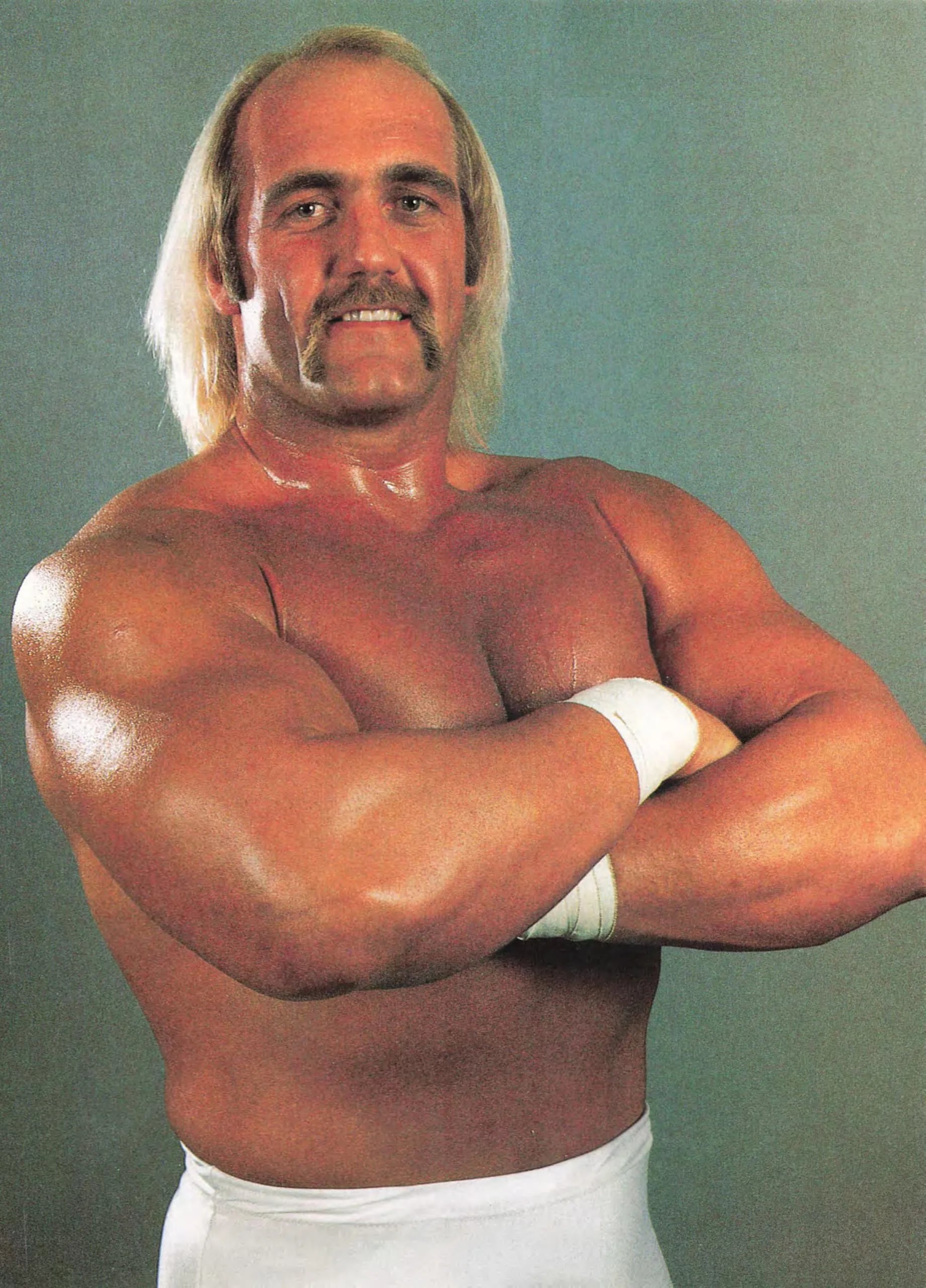 Portrait of Hulk Hogan (1953–2025) – memorial page