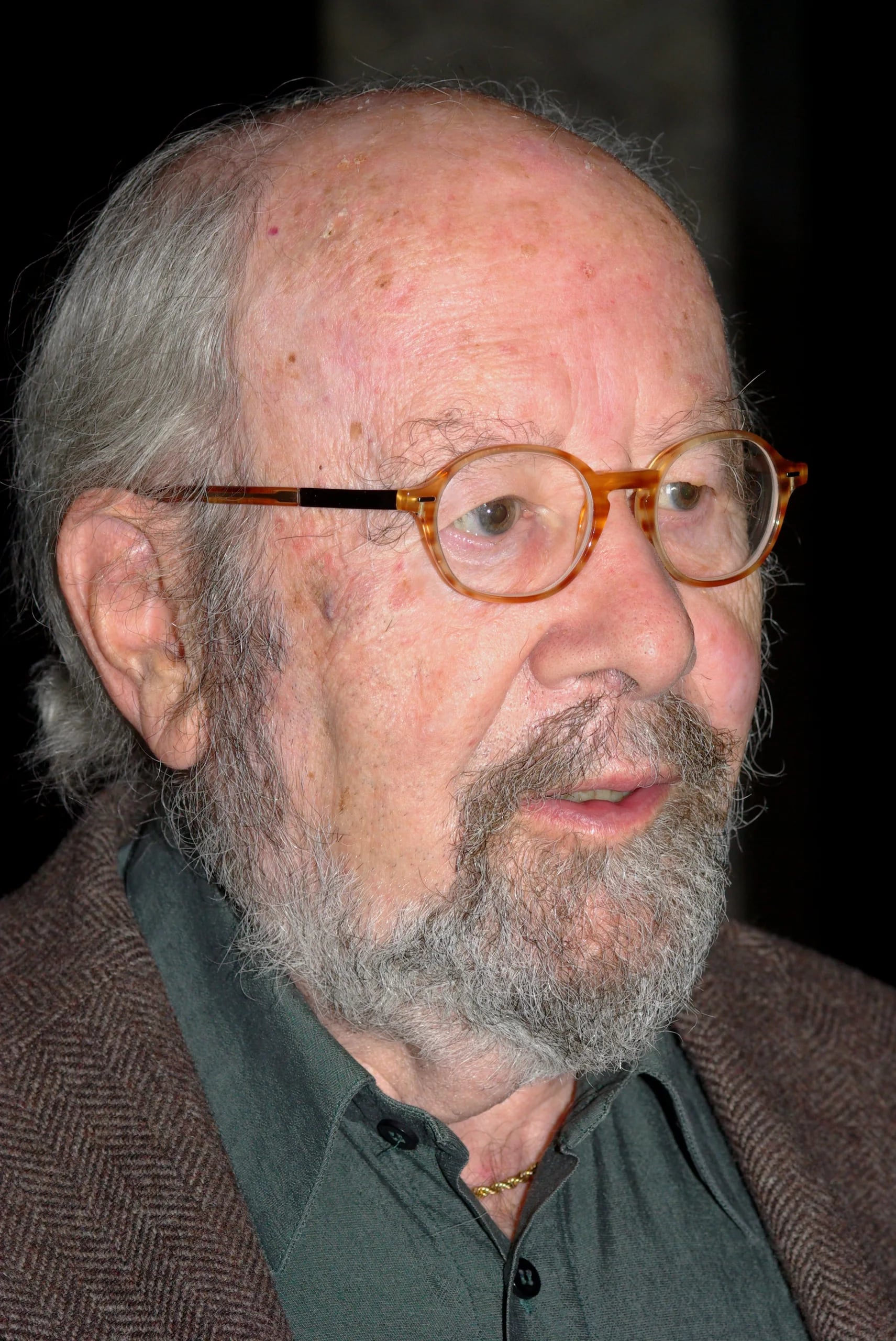 Porträt von José Manuel Caballero Bonald (1926–2021) – Gedenkseite