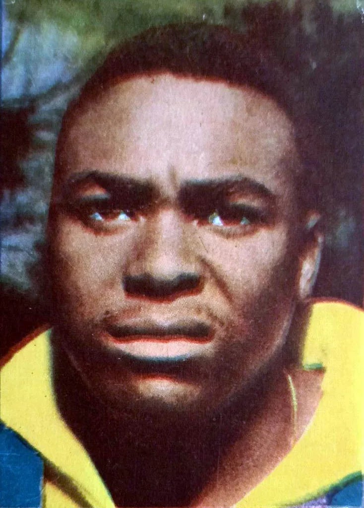 Portrait of Antônio Wilson Vieira Honório (1943–2019) – memorial page