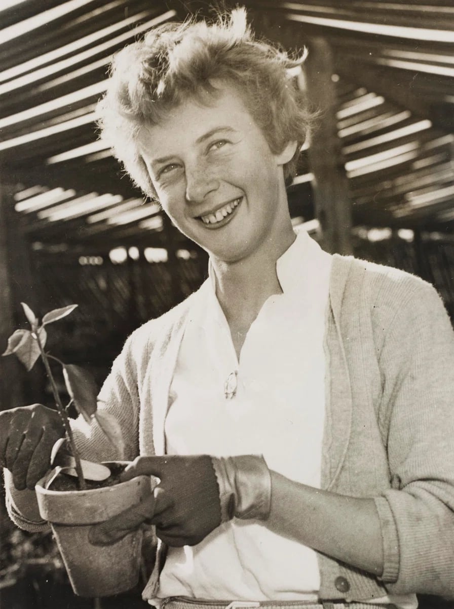 Porträt von Betty Cuthbert (1938–2017) – Gedenkseite